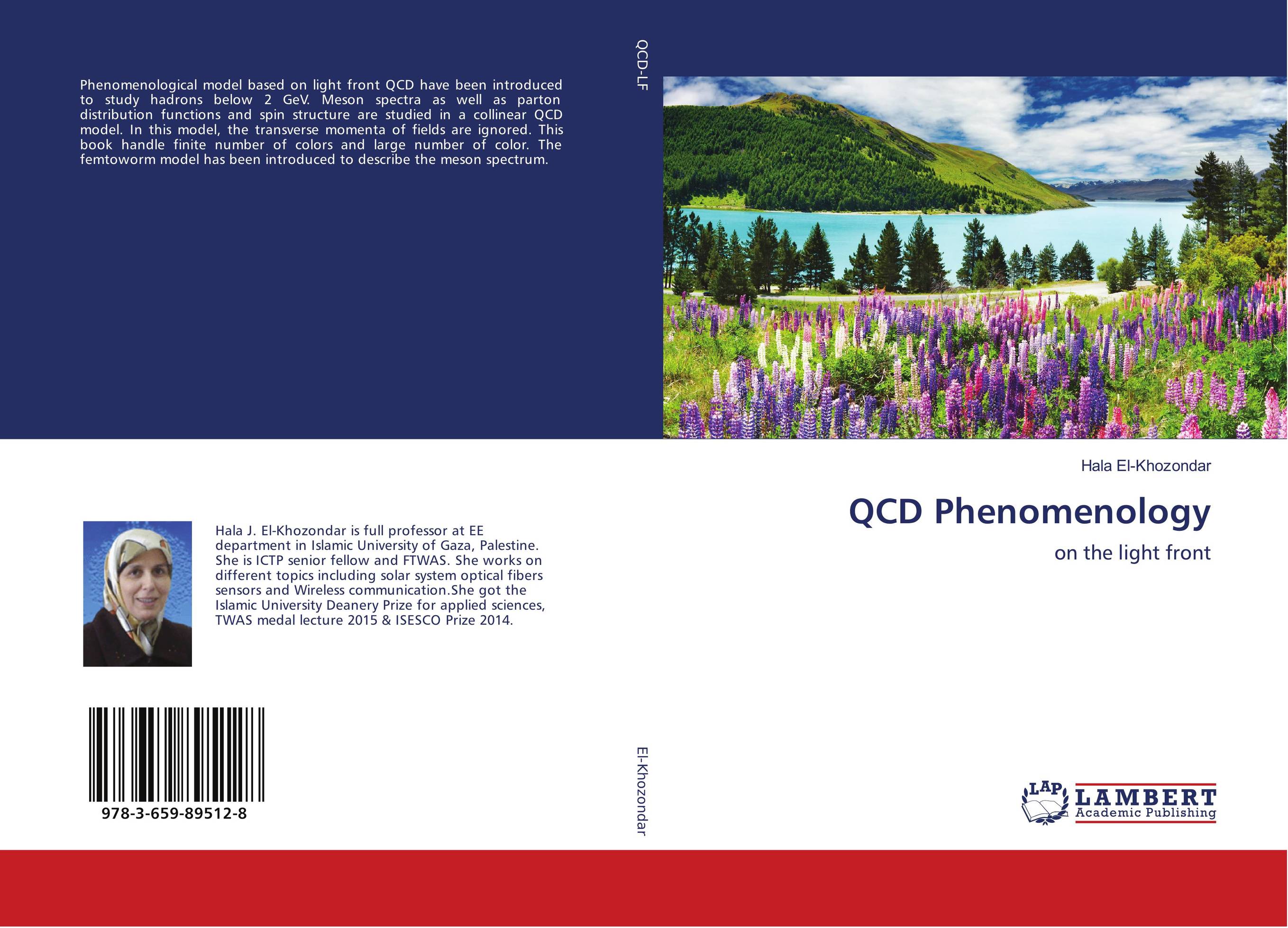 QCD Phenomenology. On the light front.