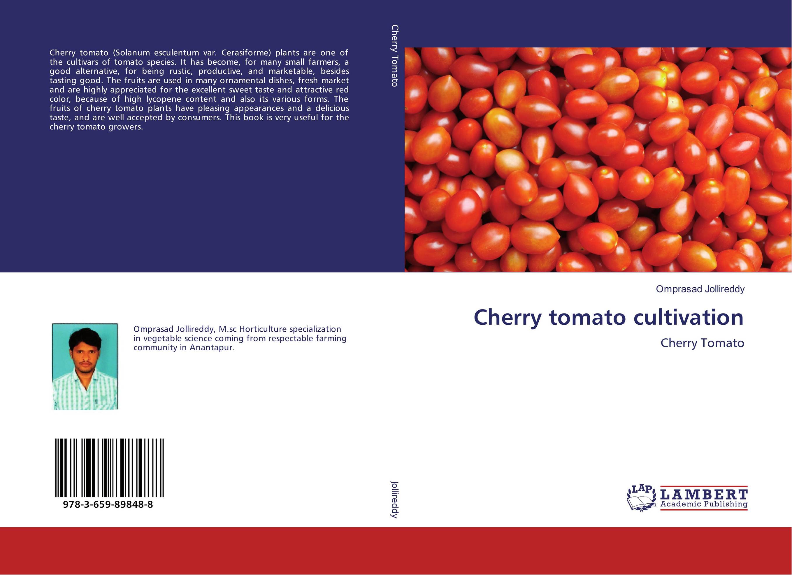 Cherry tomato cultivation. Cherry Tomato.