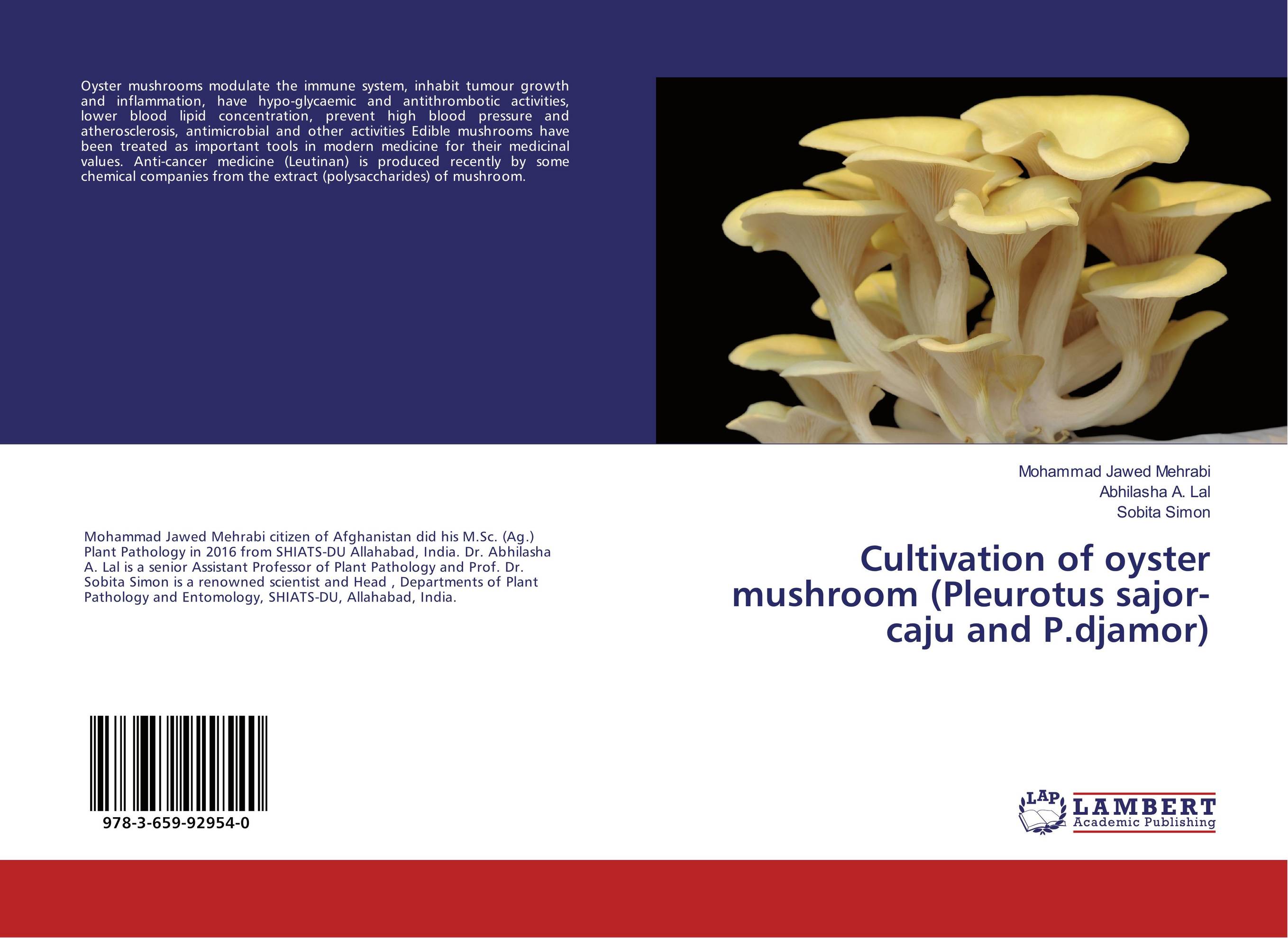 Cultivation of oyster mushroom (Pleurotus sajor-caju and P.djamor)..