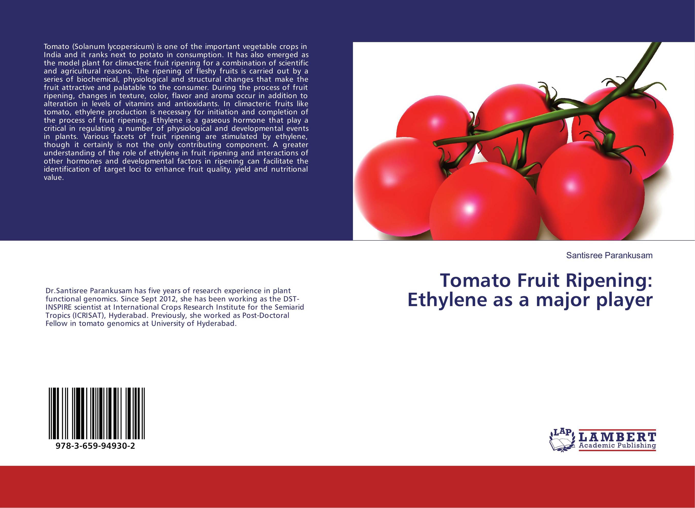 Are fruit tomatoes. Is Tomato a Fruit. Lycopersicum модель. Обложка томат парадокс. Томат с геном камбалы.