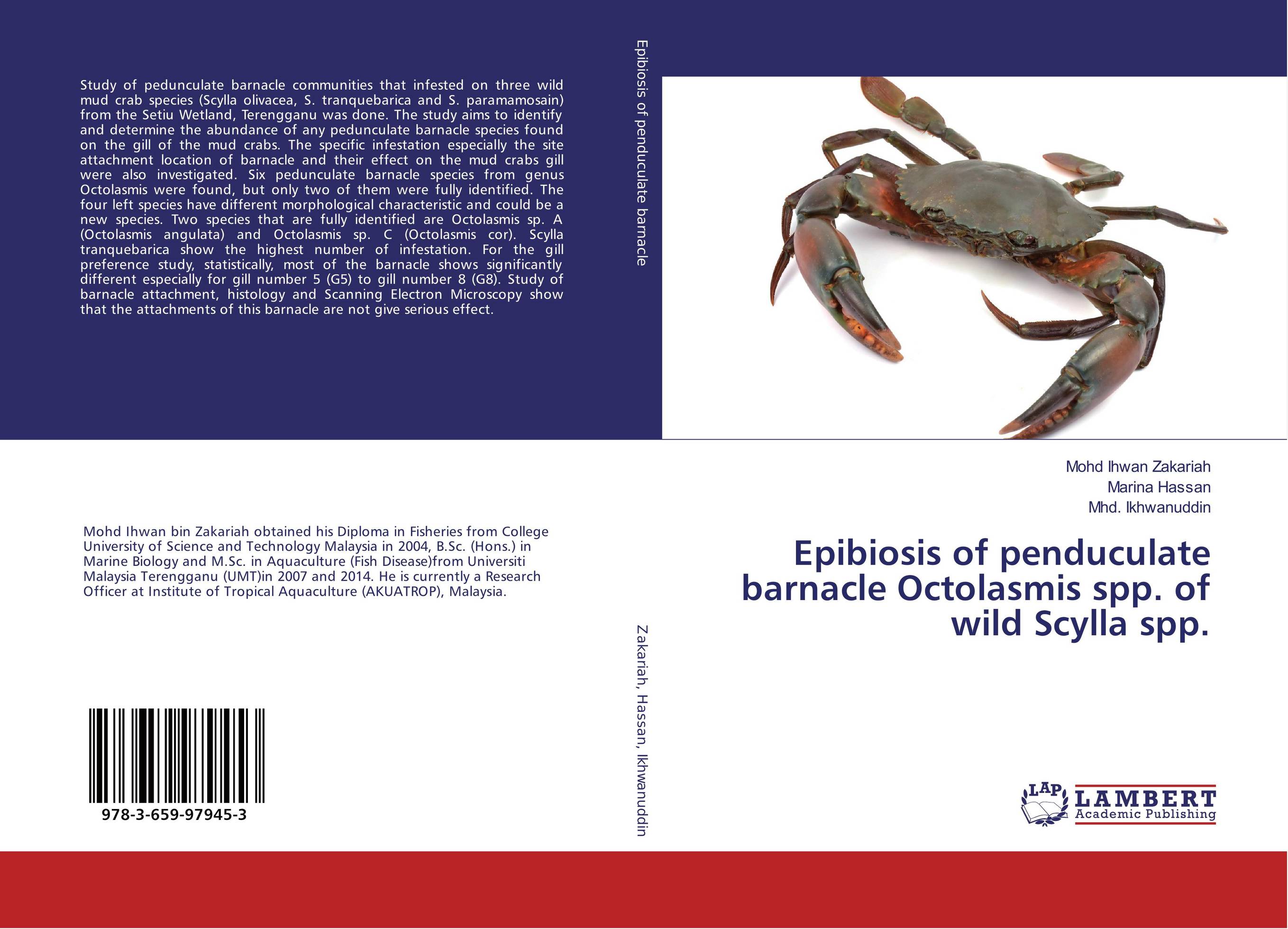 Epibiosis of penduculate barnacle Octolasmis spp. of wild Scylla spp...