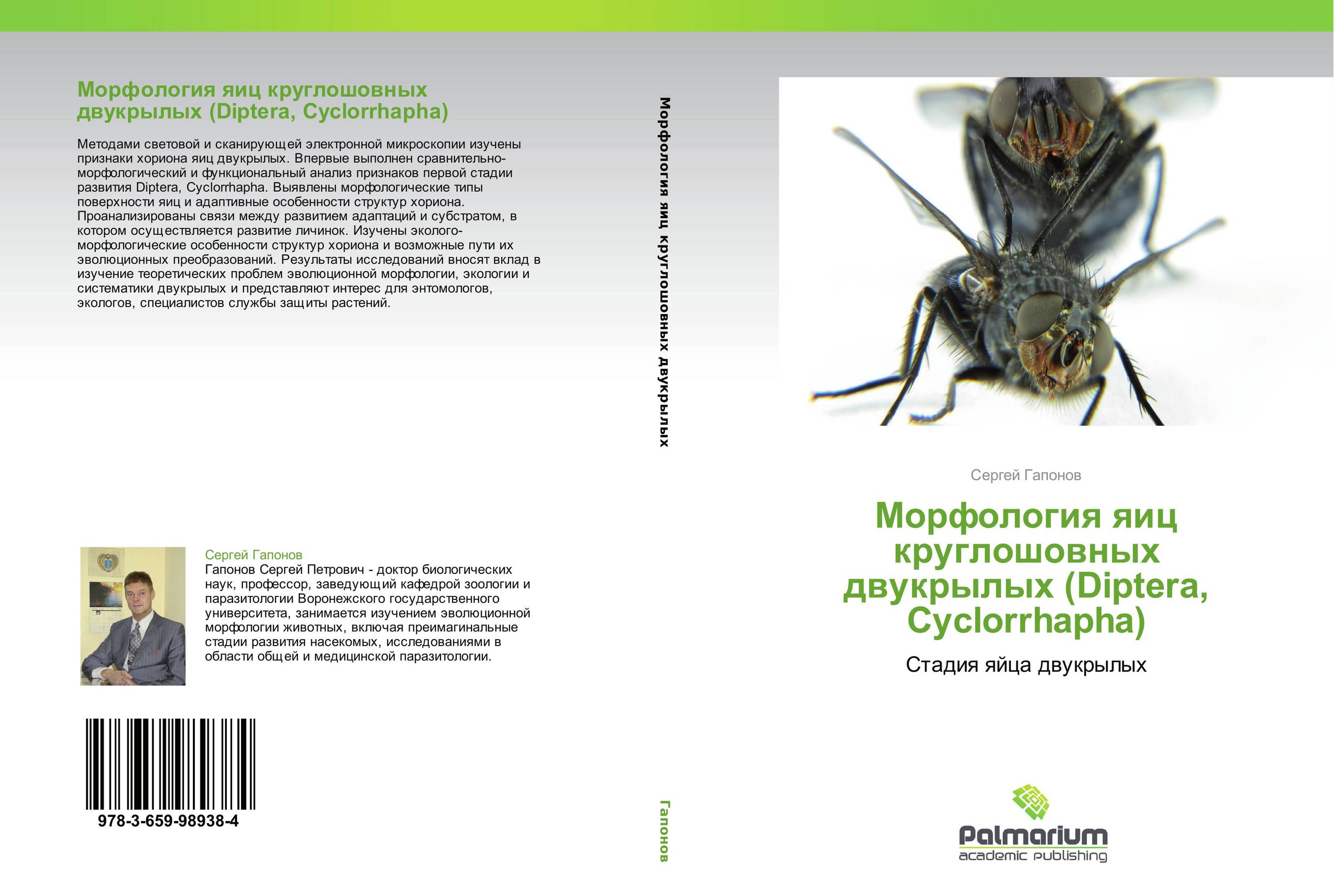 Морфология яиц круглошовных двукрылых (Diptera, Cyclorrhapha). Стадия яйца двукрылых.