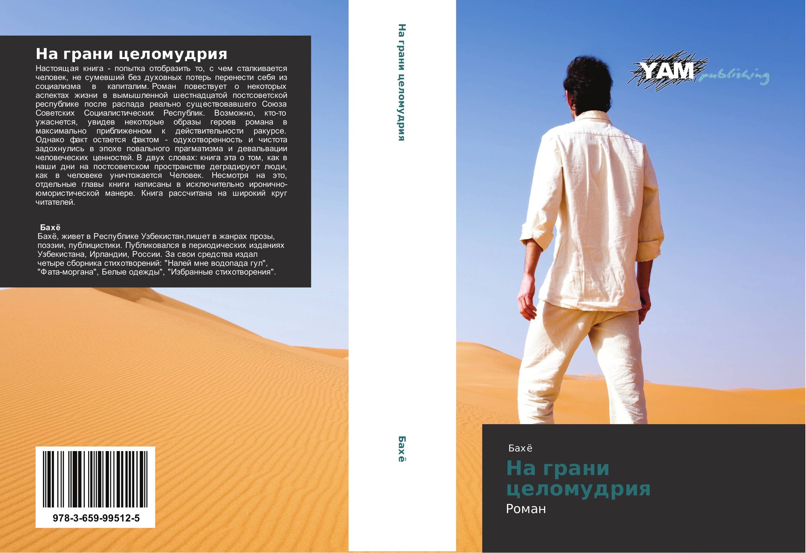 На грани целомудрия. Роман.