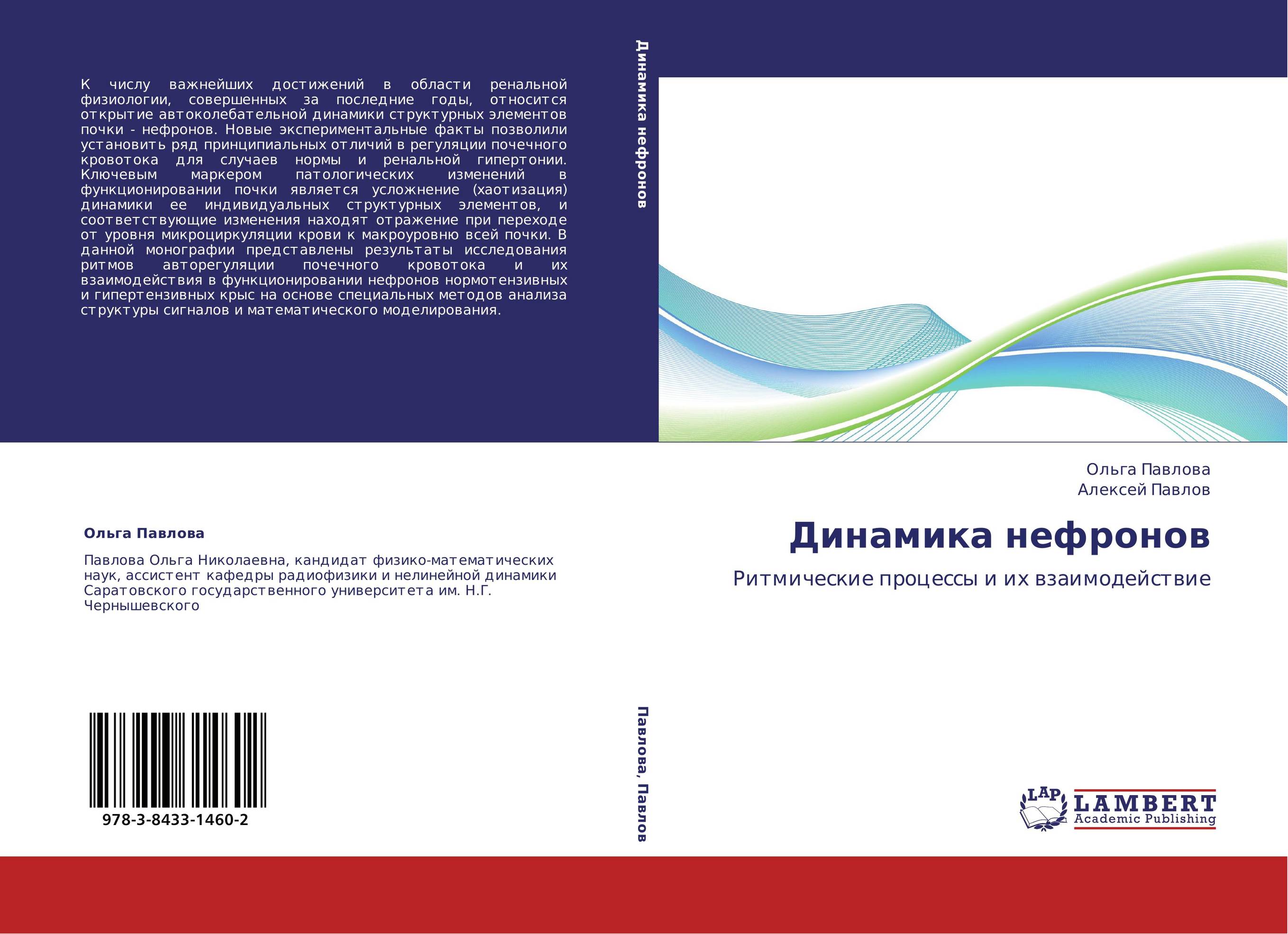 Динамика нефронов. Ритмические процессы и их взаимодействие.