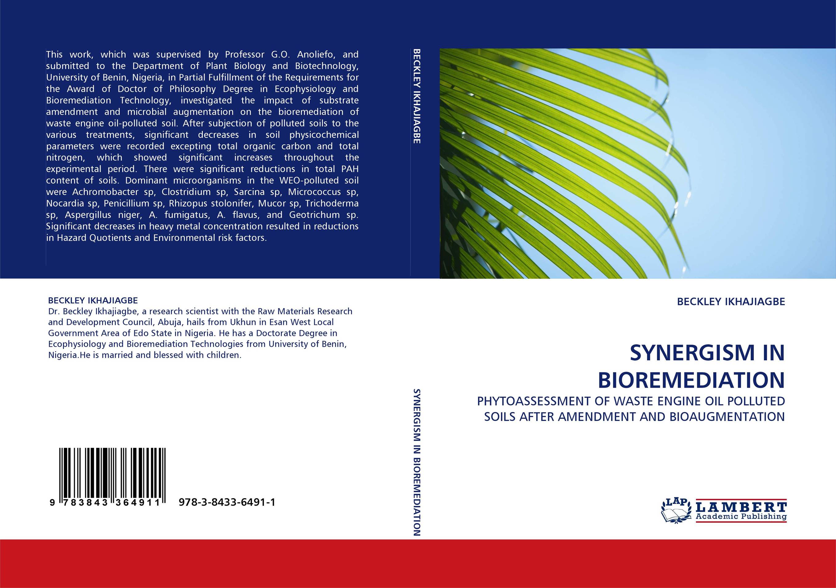 SYNERGISM IN BIOREMEDIATION. PHYTOASSESSMENT OF WASTE ENGINE OIL POLLUTED SOILS AFTER AMENDMENT AND BIOAUGMENTATION.