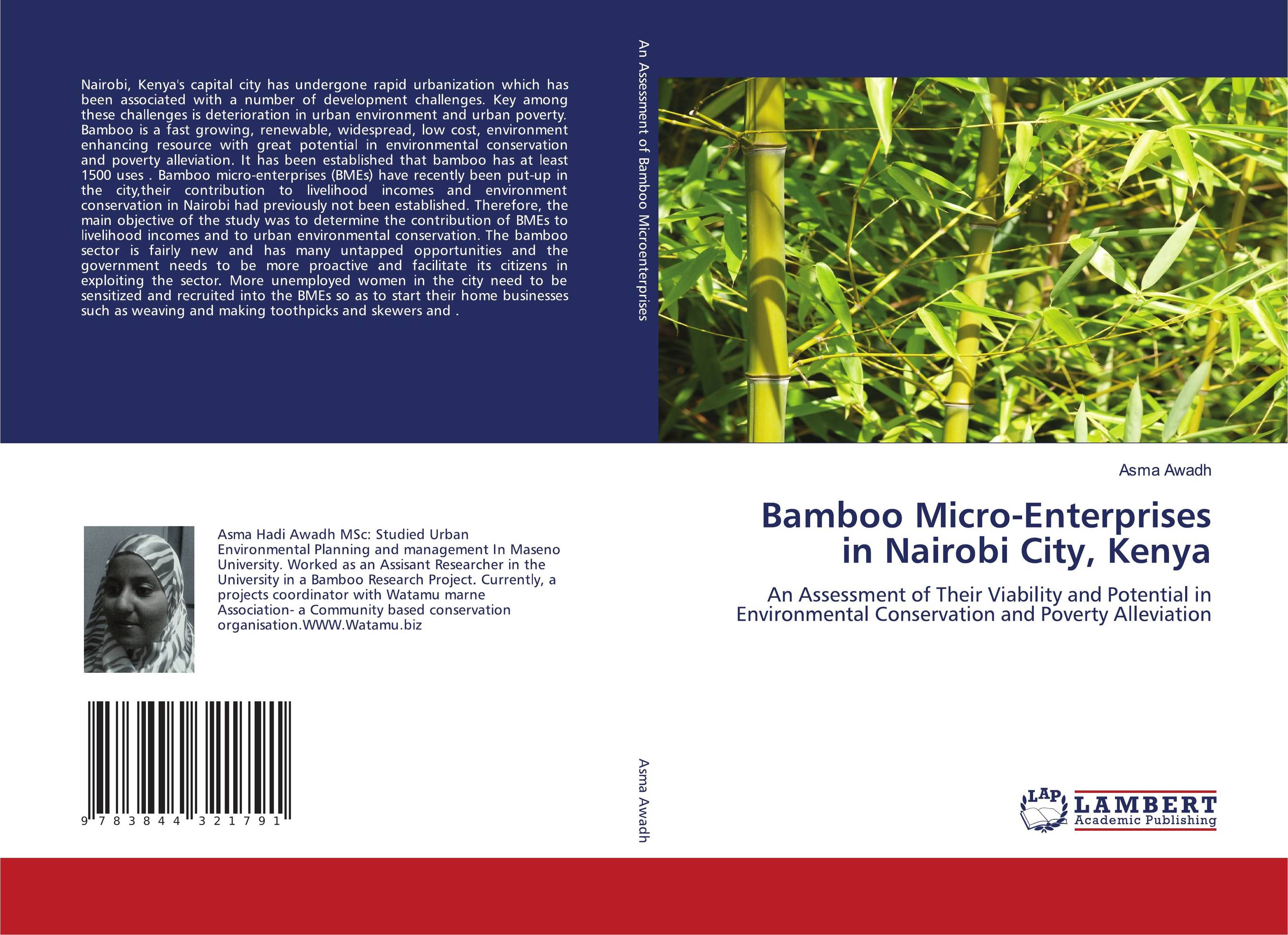 Bamboo Micro-Enterprises in Nairobi City, Kenya. An Assessment of Their Viability and Potential in Environmental Conservation and Poverty Alleviation.