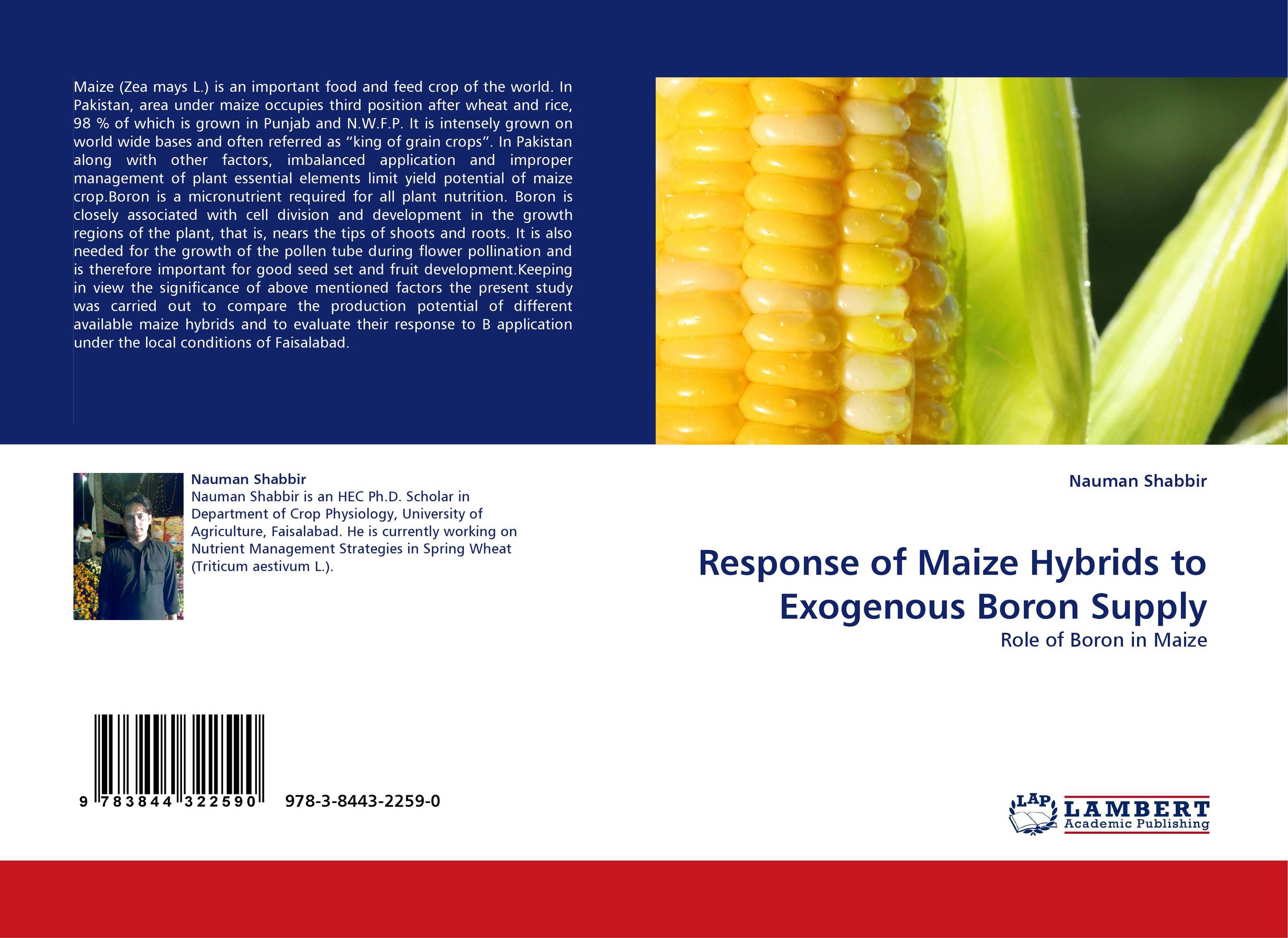 Response of Maize Hybrids to Exogenous Boron Supply. Role of Boron in Maize.