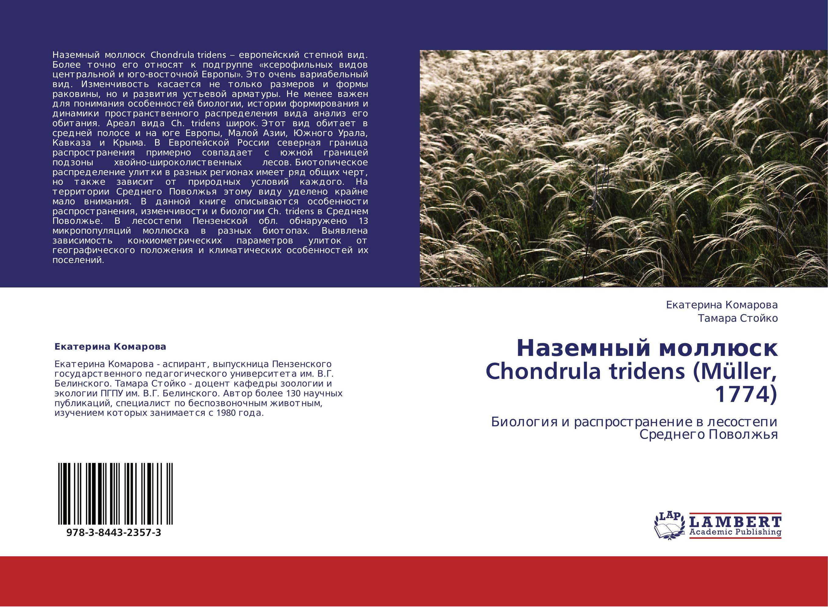 Наземный моллюск Chondrula tridens (M?ller, 1774). Биология и распространение в лесостепи Среднего Поволжья.