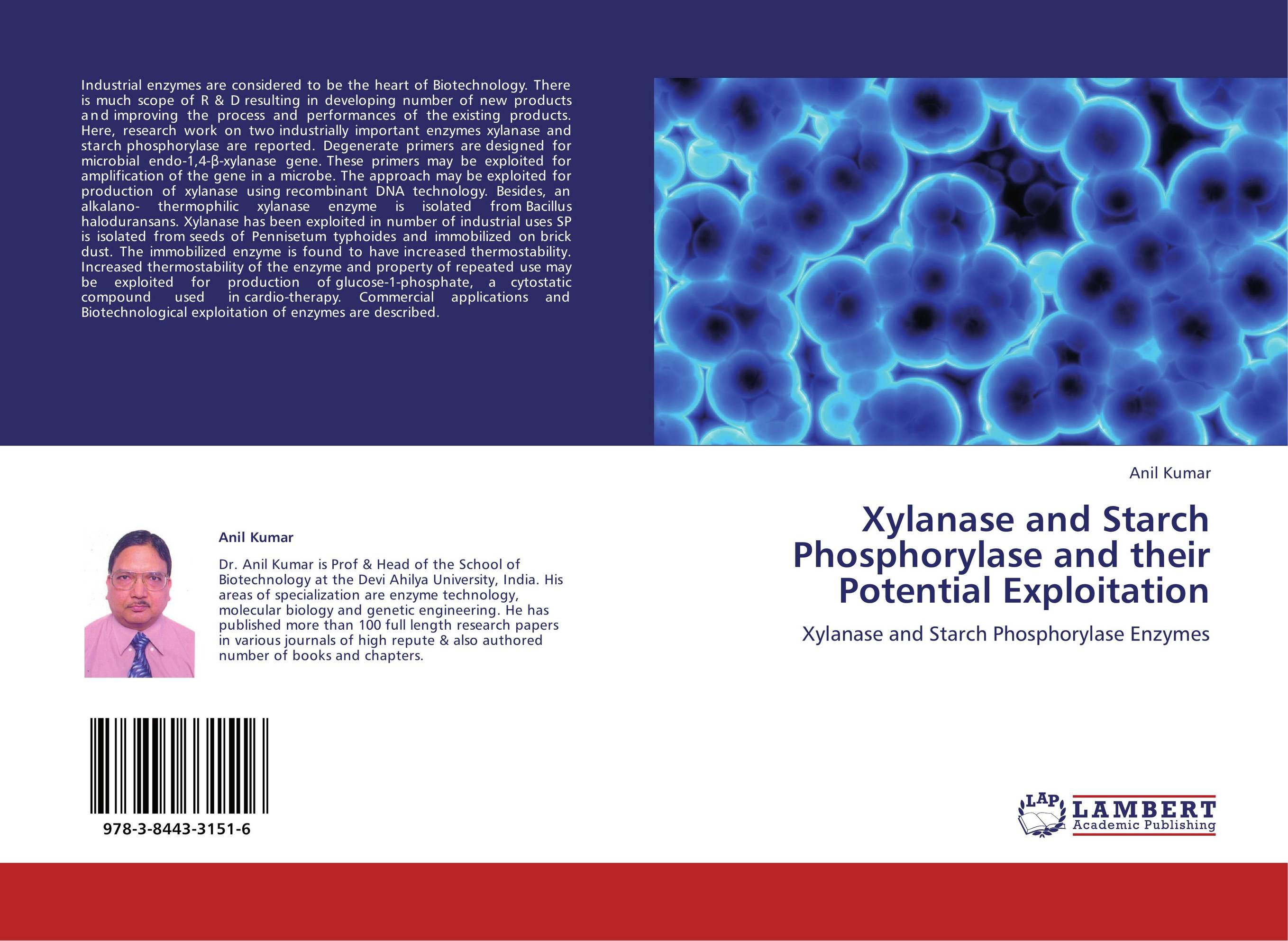 Xylanase and Starch Phosphorylase and their Potential Exploitation. Xylanase and Starch Phosphorylase Enzymes.