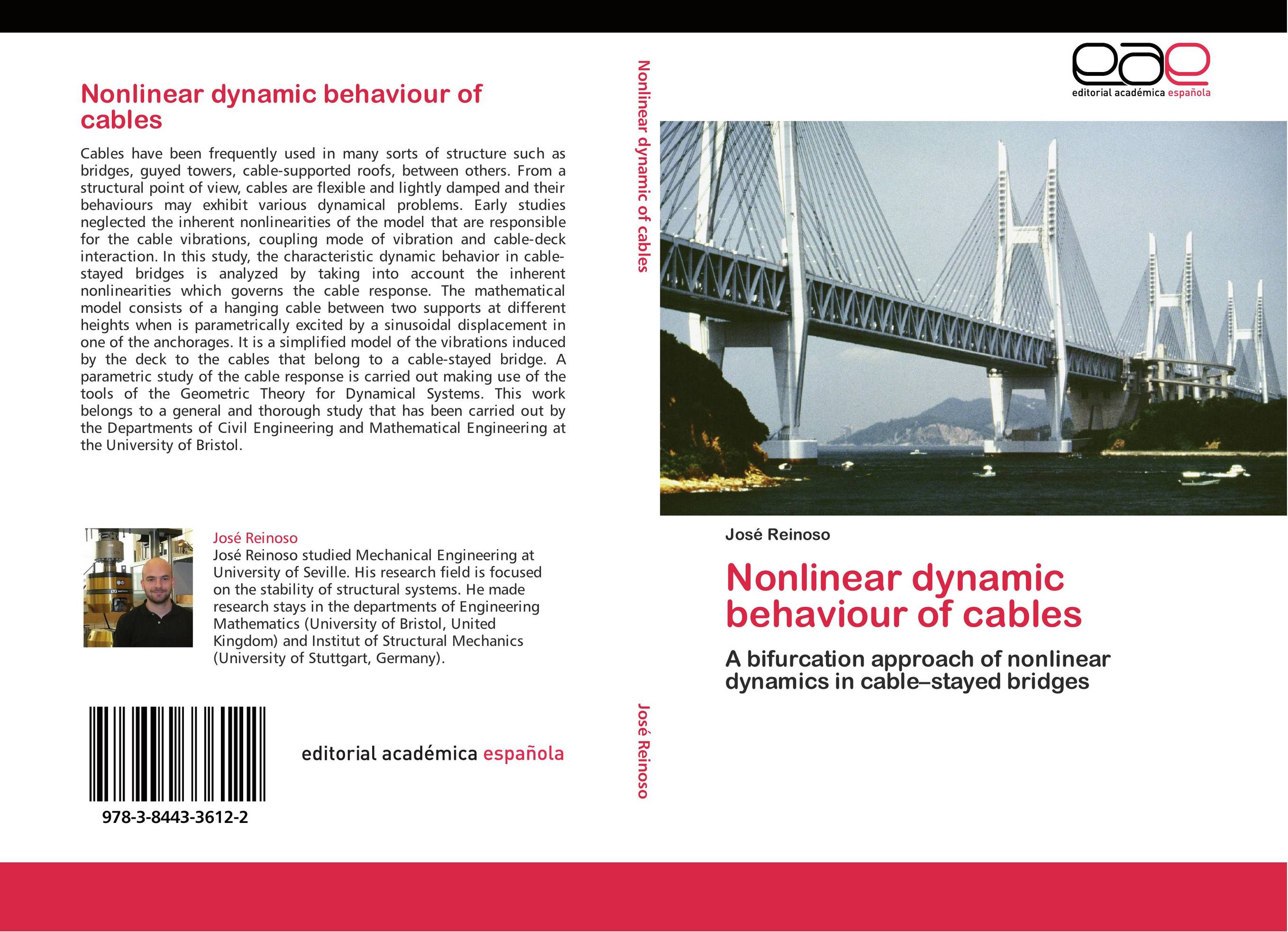 Nonlinear dynamic behaviour of cables