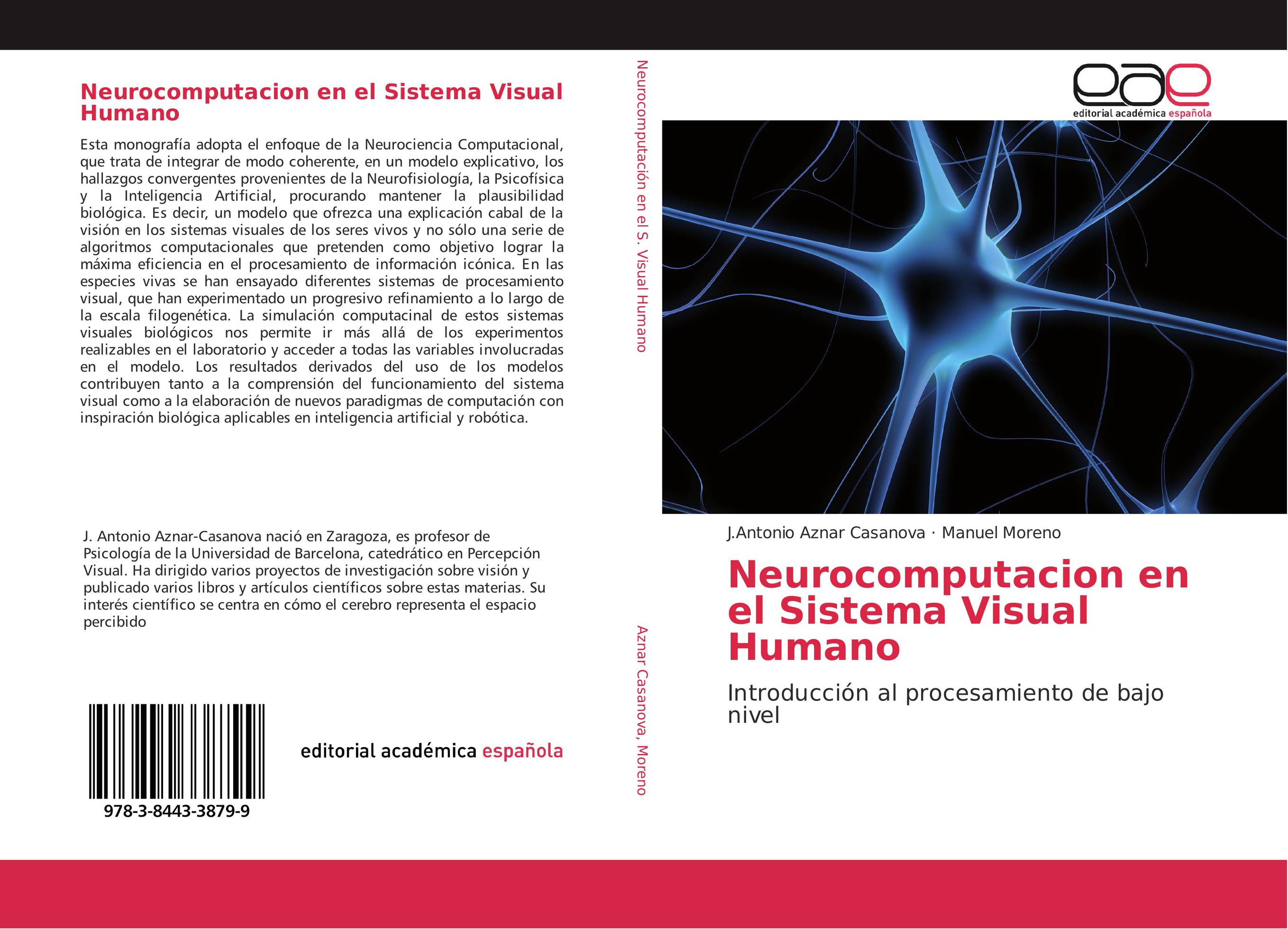 Neurocomputacion en el Sistema Visual Humano