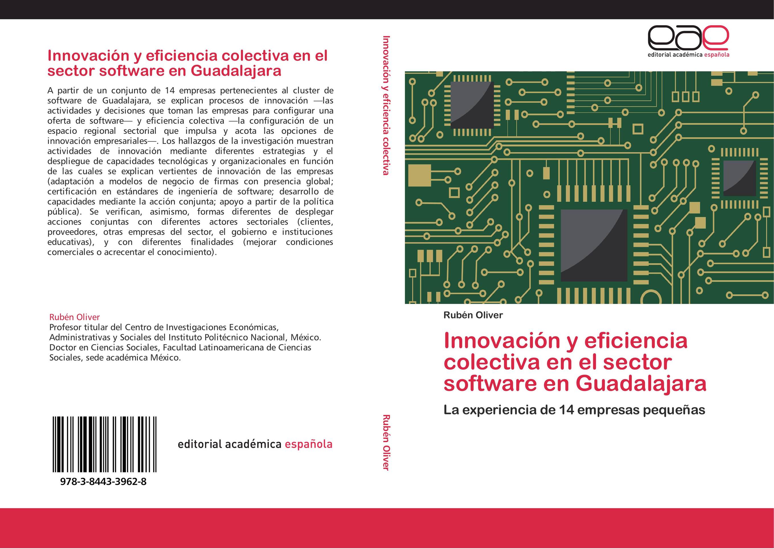 Innovación y eficiencia colectiva en el sector software en Guadalajara