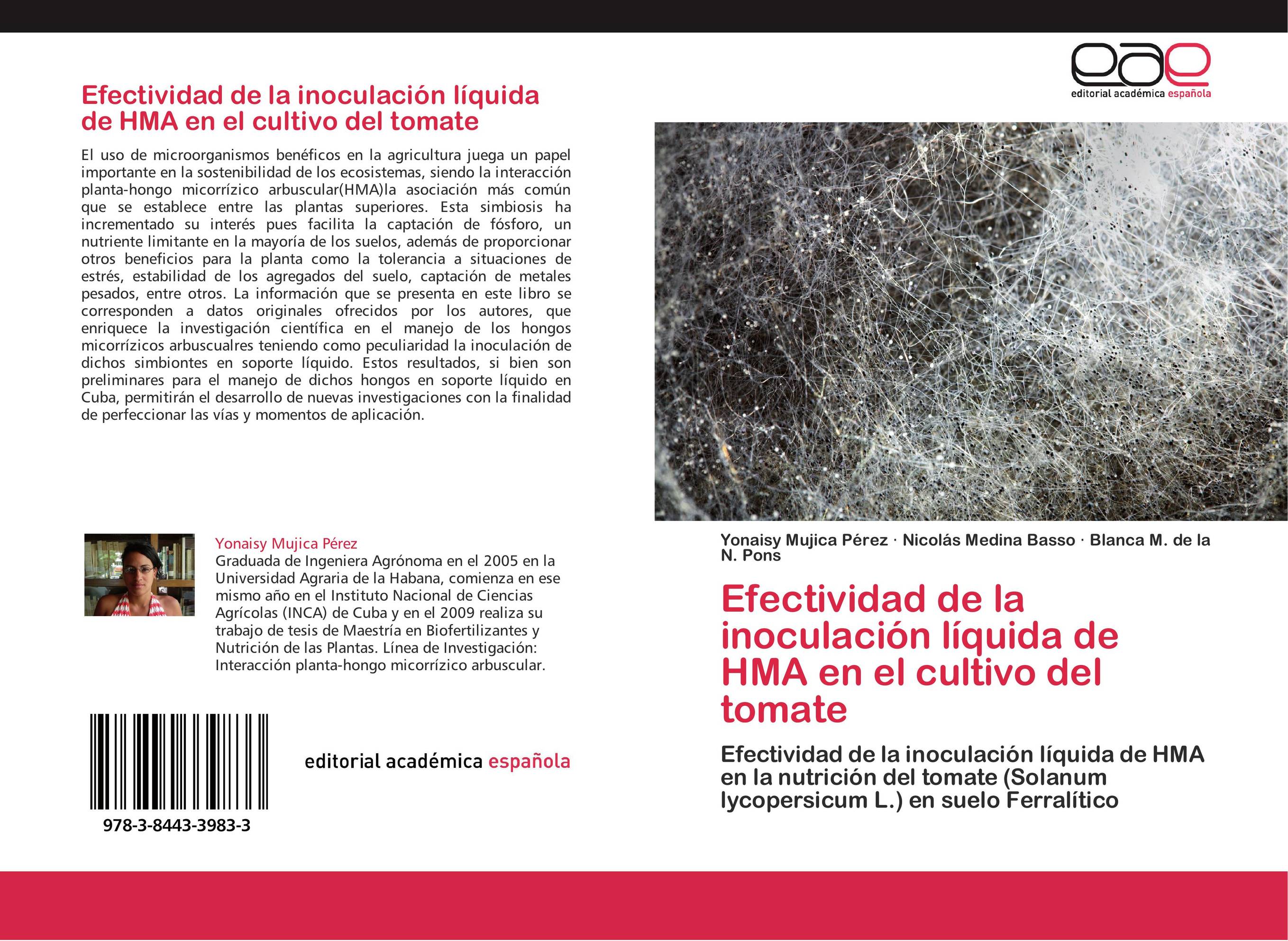 Efectividad de la inoculación líquida de HMA en el cultivo del tomate