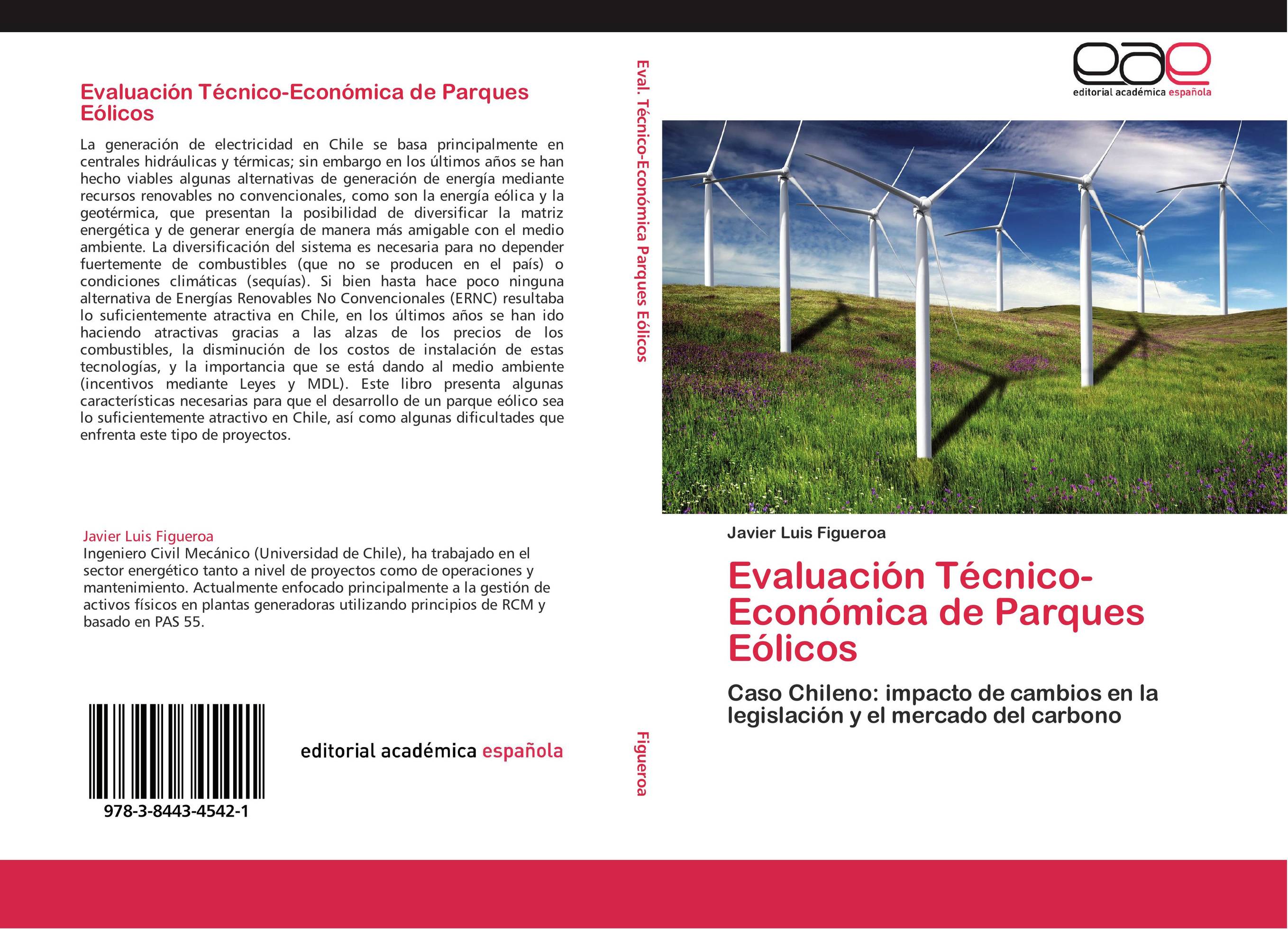 Evaluación Técnico-Económica de Parques Eólicos