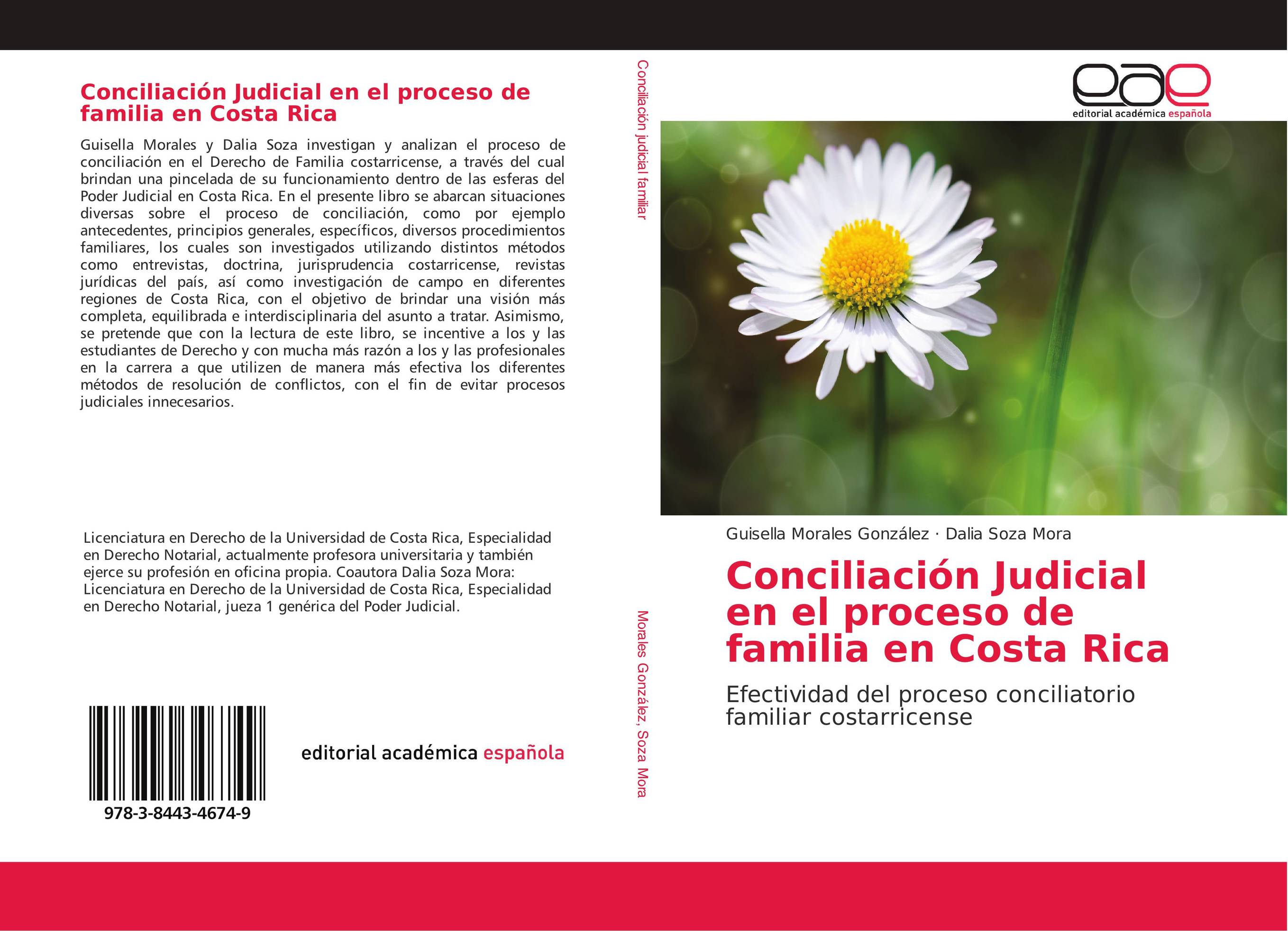 Conciliación Judicial en el proceso de familia en Costa Rica