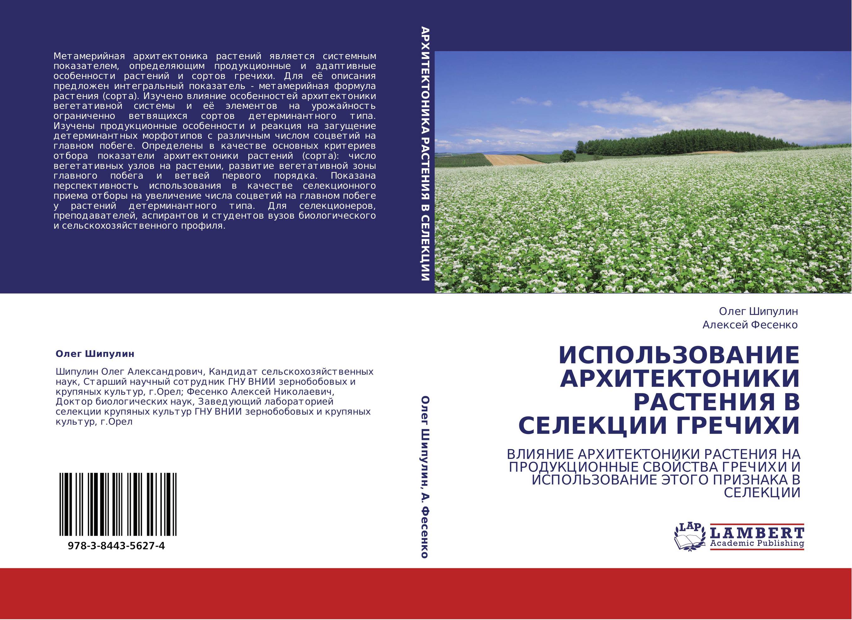ИСПОЛЬЗОВАНИЕ АРХИТЕКТОНИКИ РАСТЕНИЯ В СЕЛЕКЦИИ ГРЕЧИХИ. ВЛИЯНИЕ АРХИТЕКТОНИКИ РАСТЕНИЯ НА ПРОДУКЦИОННЫЕ СВОЙСТВА ГРЕЧИХИ И ИСПОЛЬЗОВАНИЕ ЭТОГО ПРИЗНАКА В СЕЛЕКЦИИ.