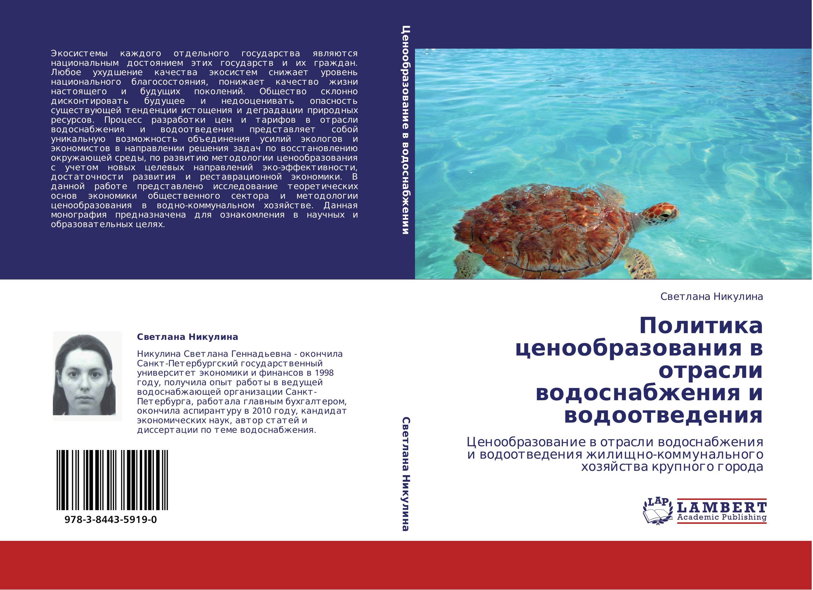 Политика ценообразования в отрасли водоснабжения и водоотведения. Ценообразование в отрасли водоснабжения и водоотведения жилищно-коммунального хозяйства крупного города.