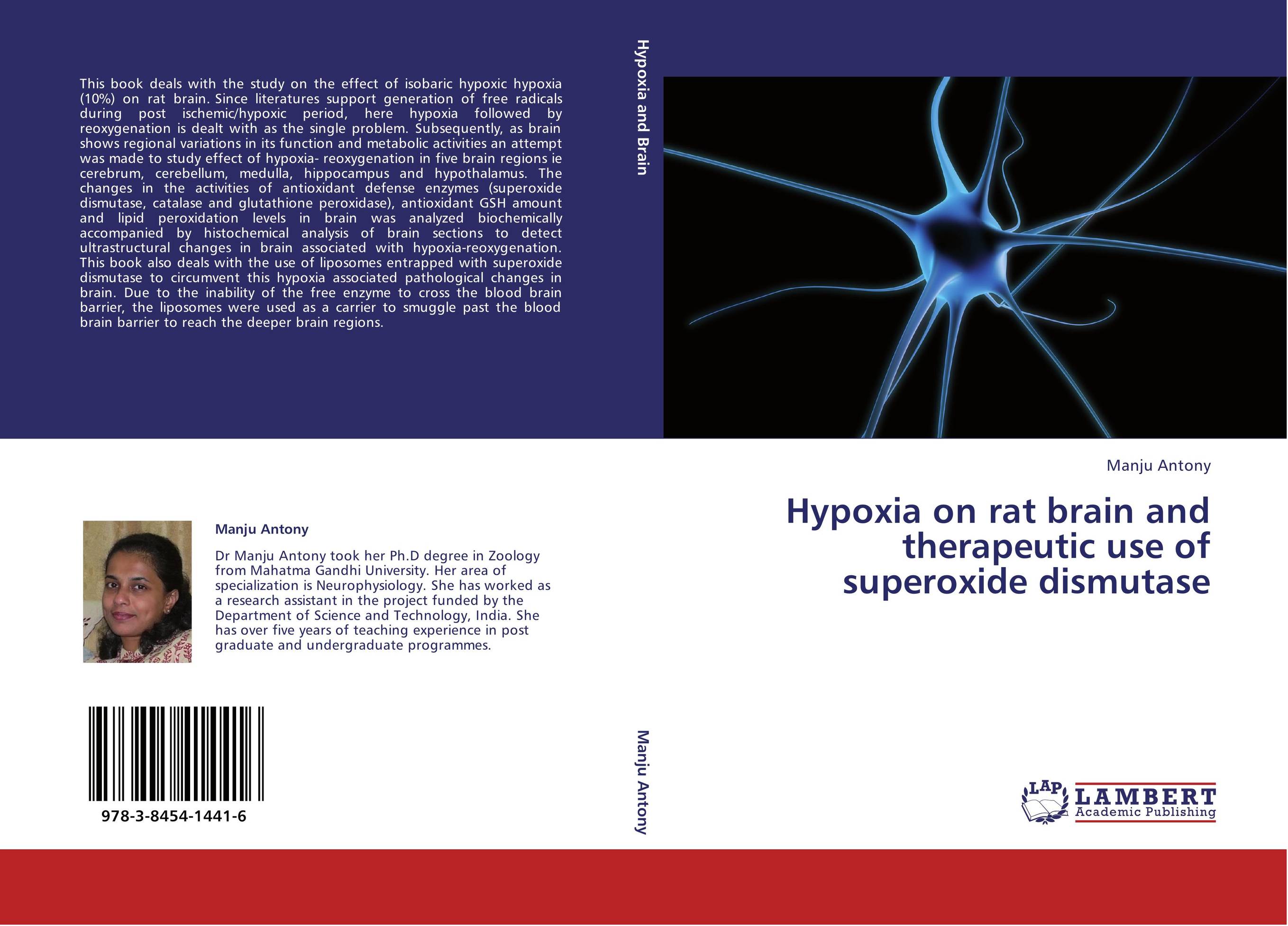 Hypoxia on rat brain and therapeutic use of superoxide dismutase..