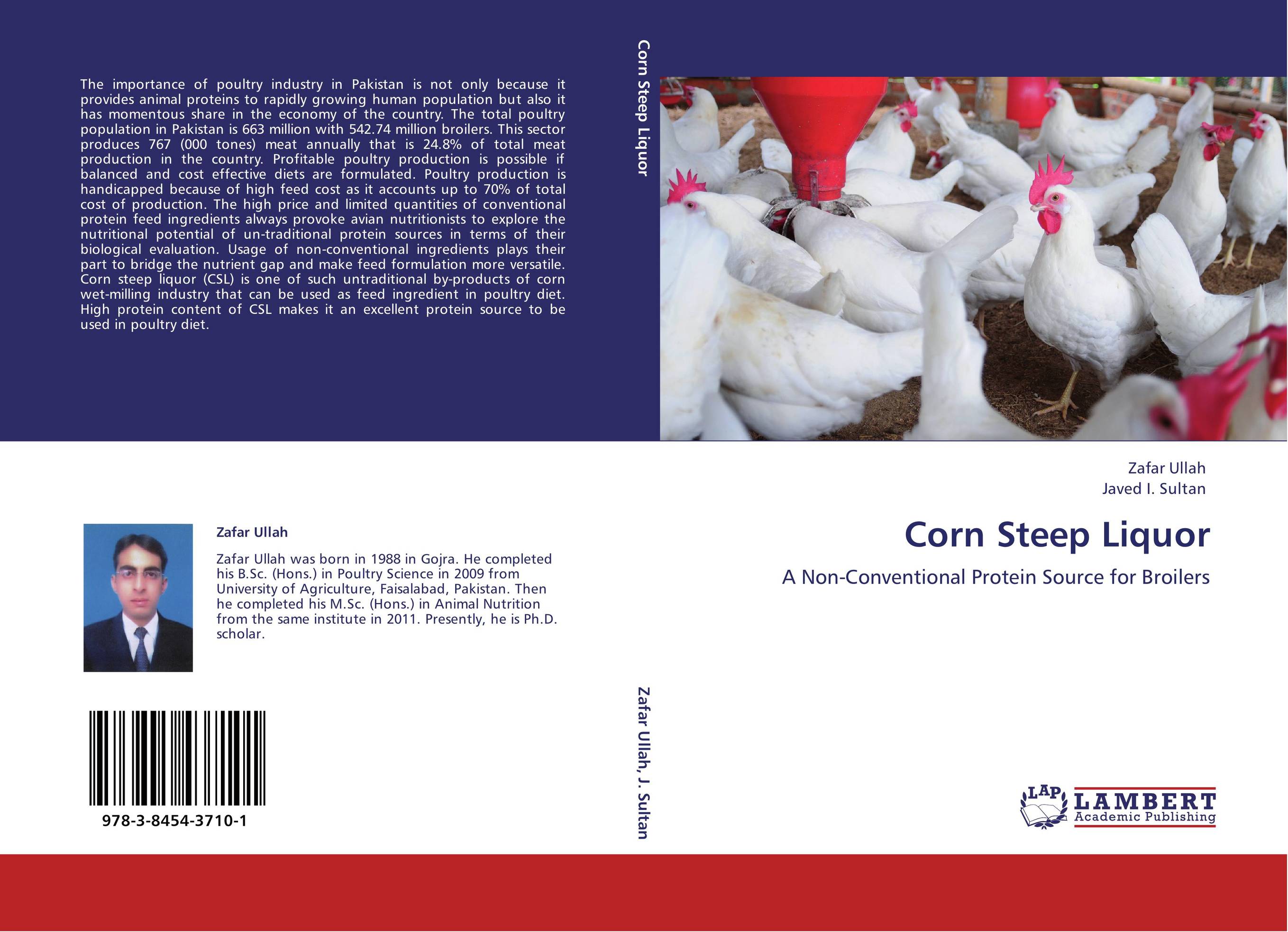 Corn Steep Liquor. A Non-Conventional Protein Source for Broilers.