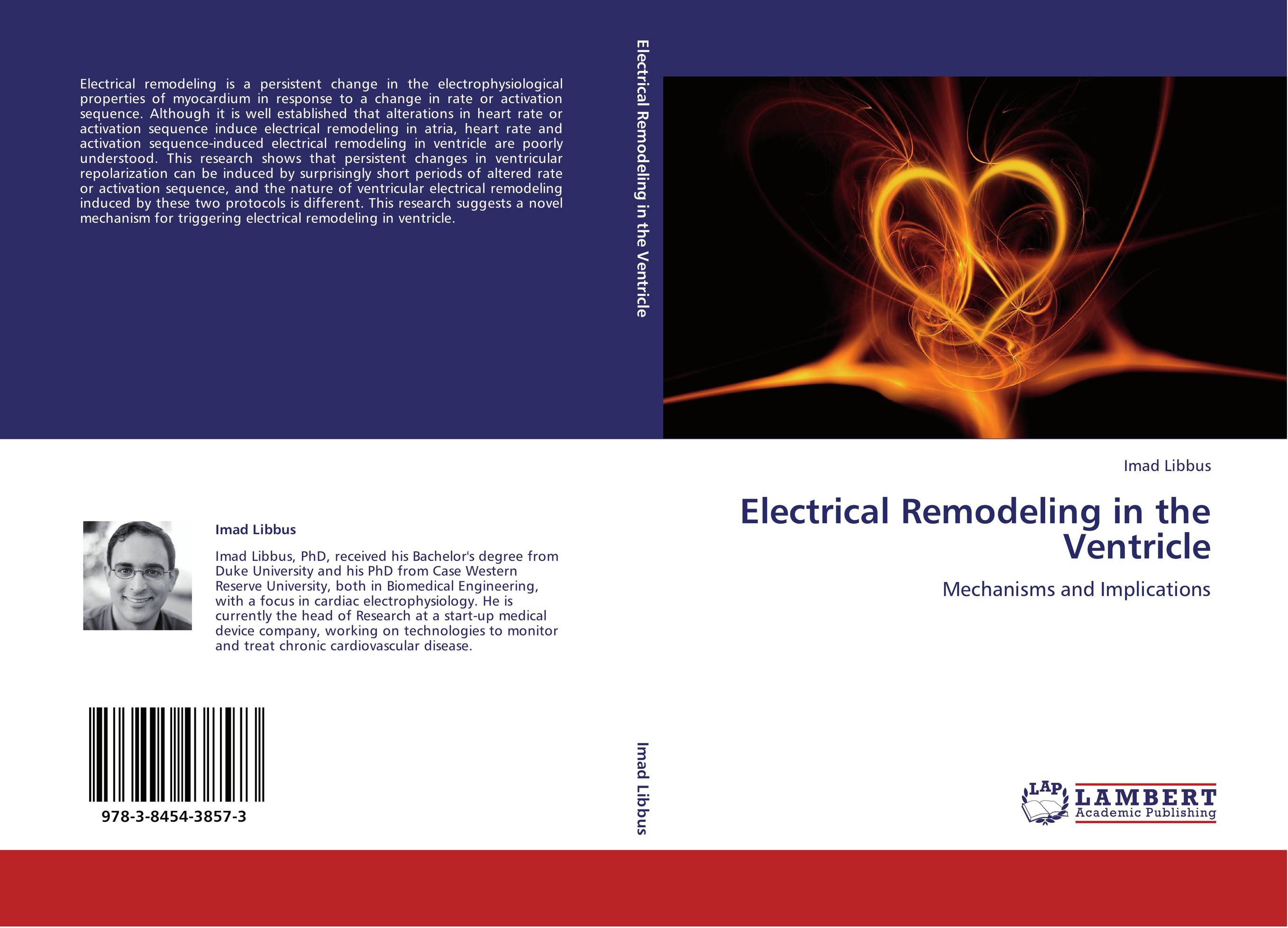 Electrical Remodeling in the Ventricle. Mechanisms and Implications.