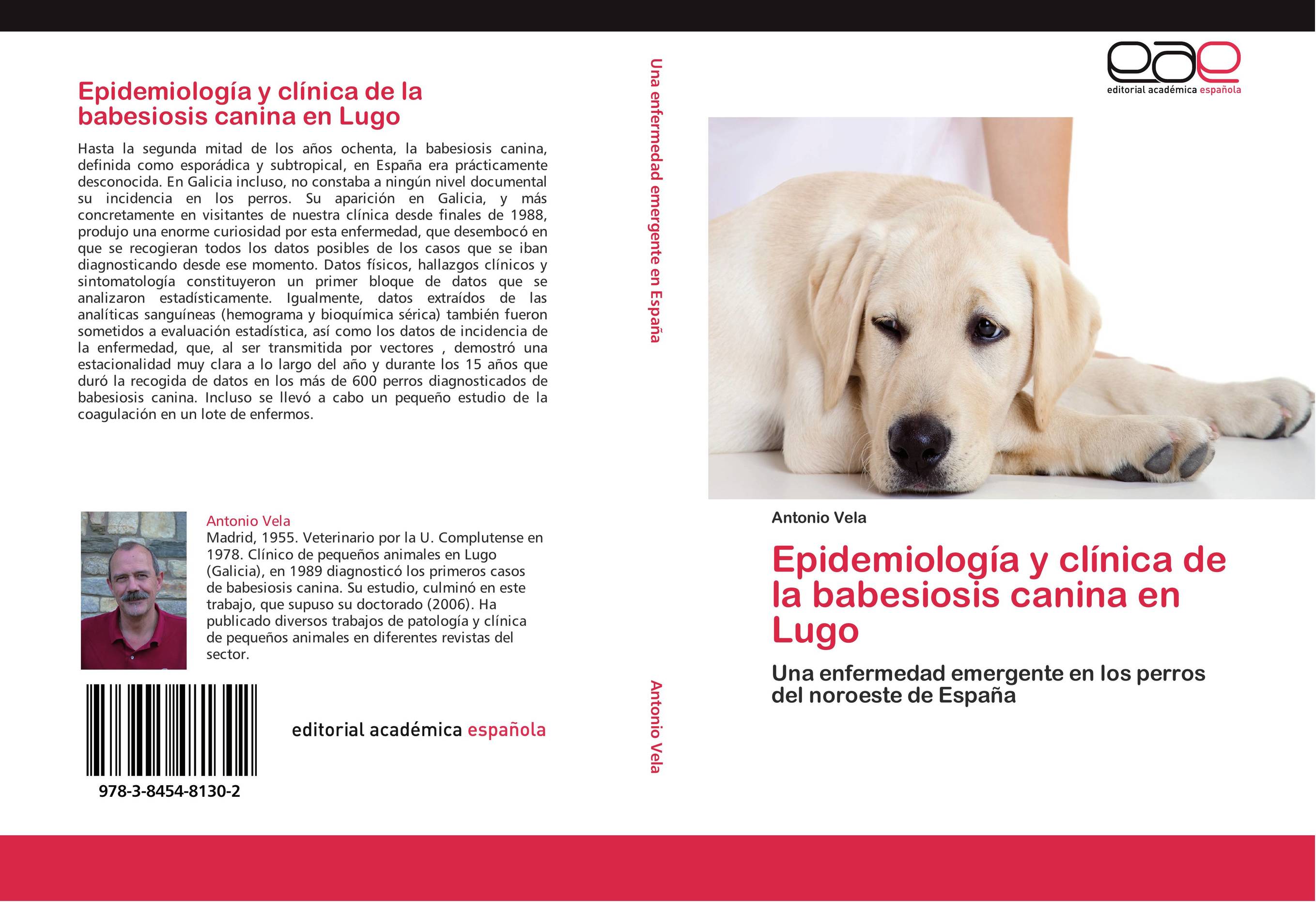 Epidemiología y clínica de la babesiosis canina en Lugo