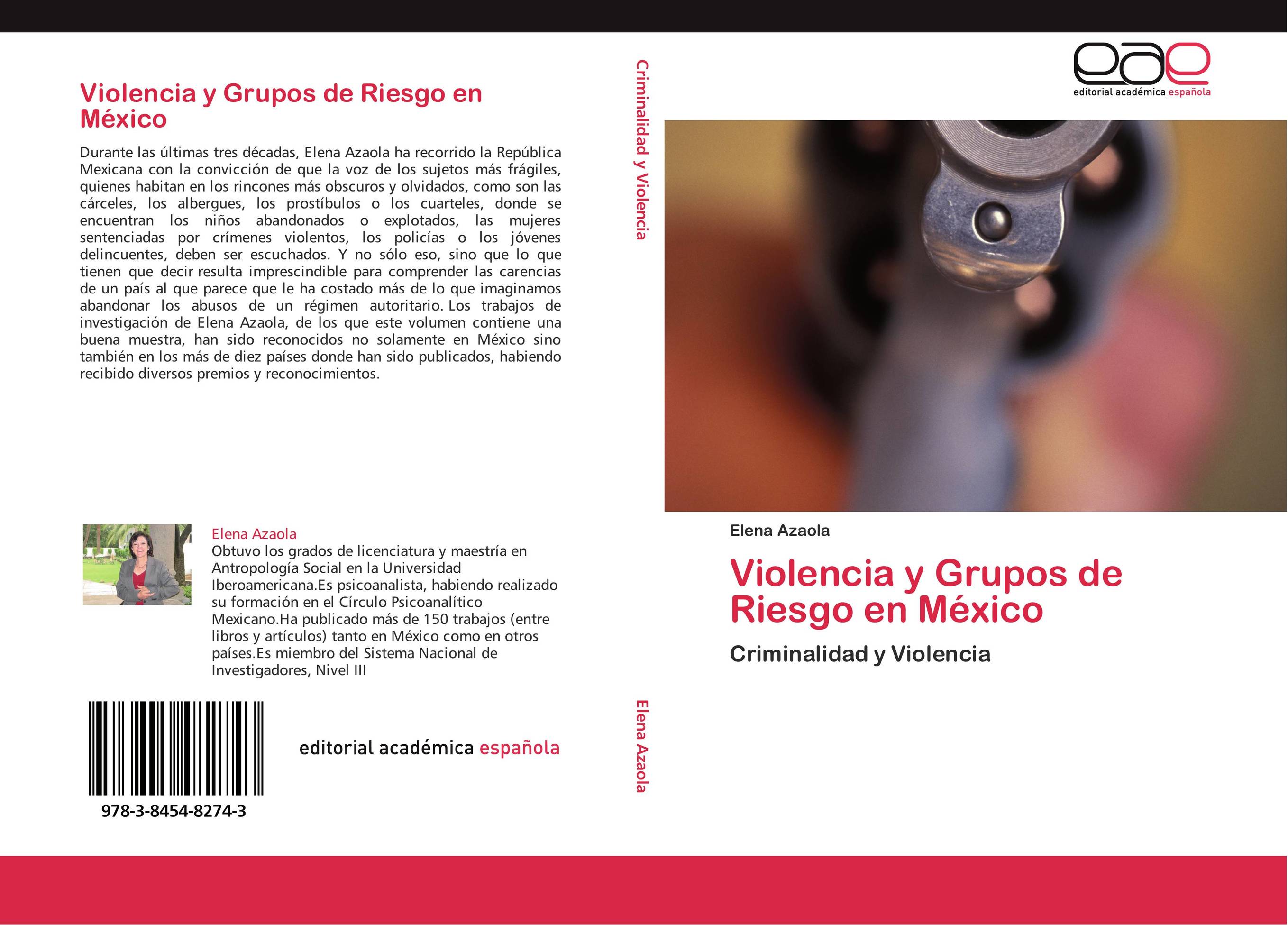 Violencia y Grupos de Riesgo en México