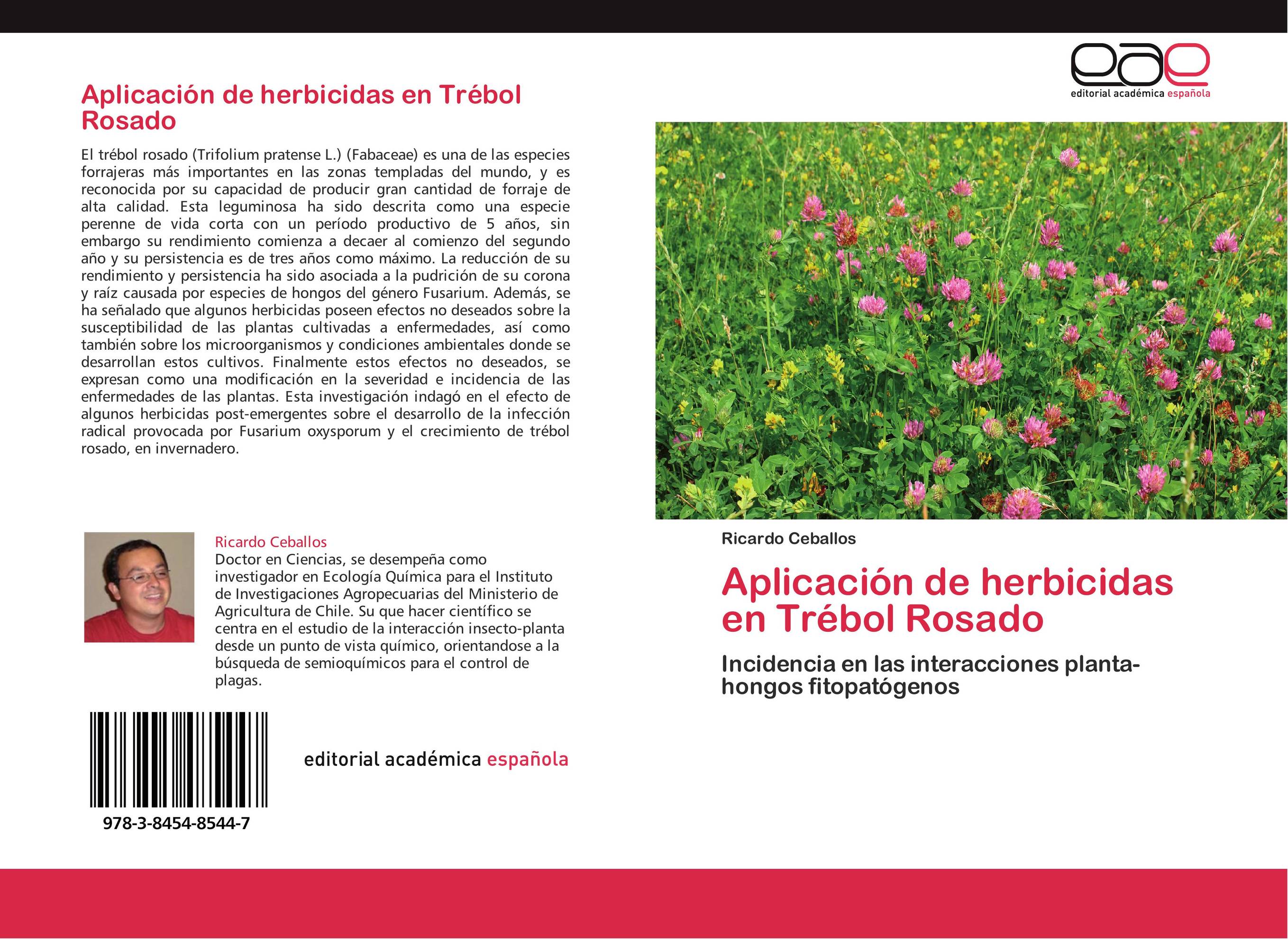 Aplicación de herbicidas en Trébol Rosado