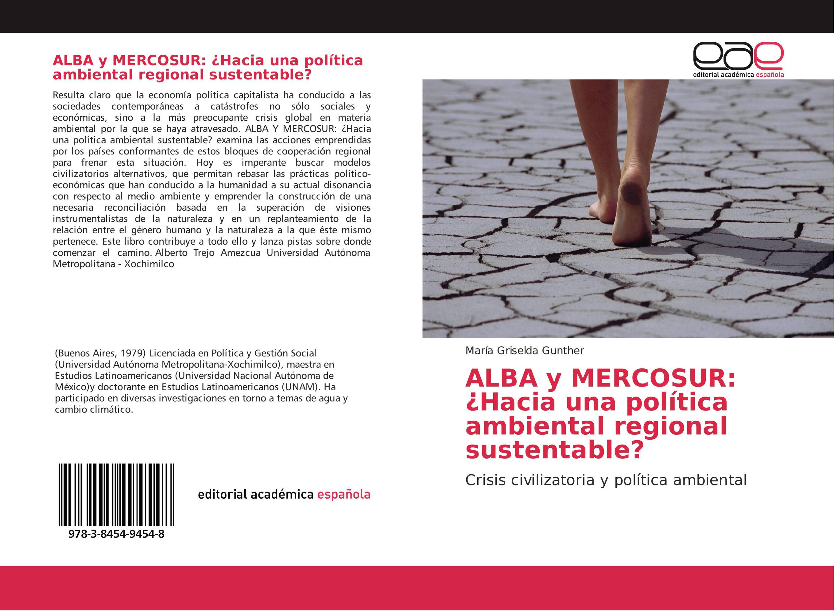 ALBA y MERCOSUR: ¿Hacia una política ambiental regional sustentable?