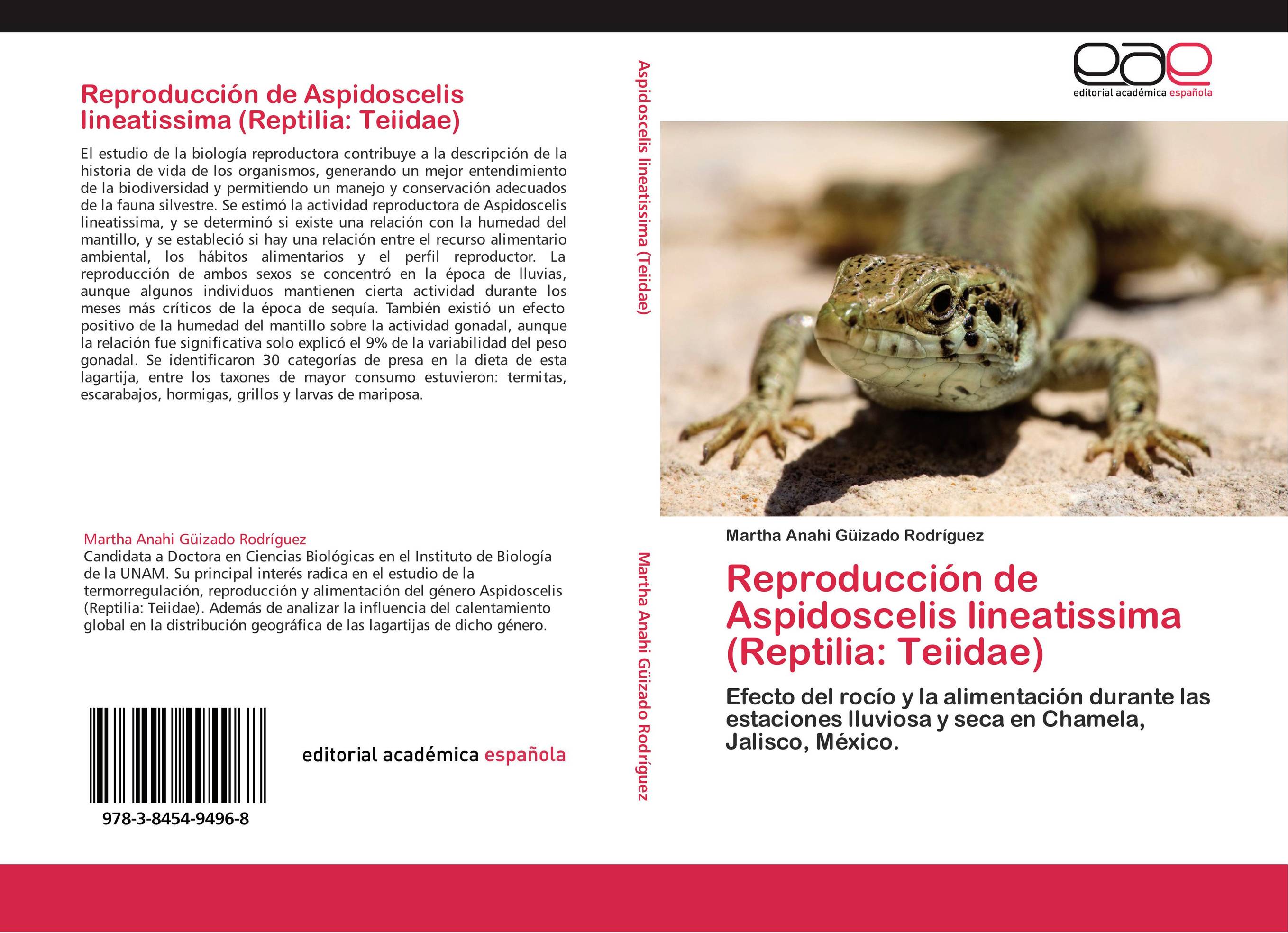 Reproducción de Aspidoscelis lineatissima (Reptilia: Teiidae)