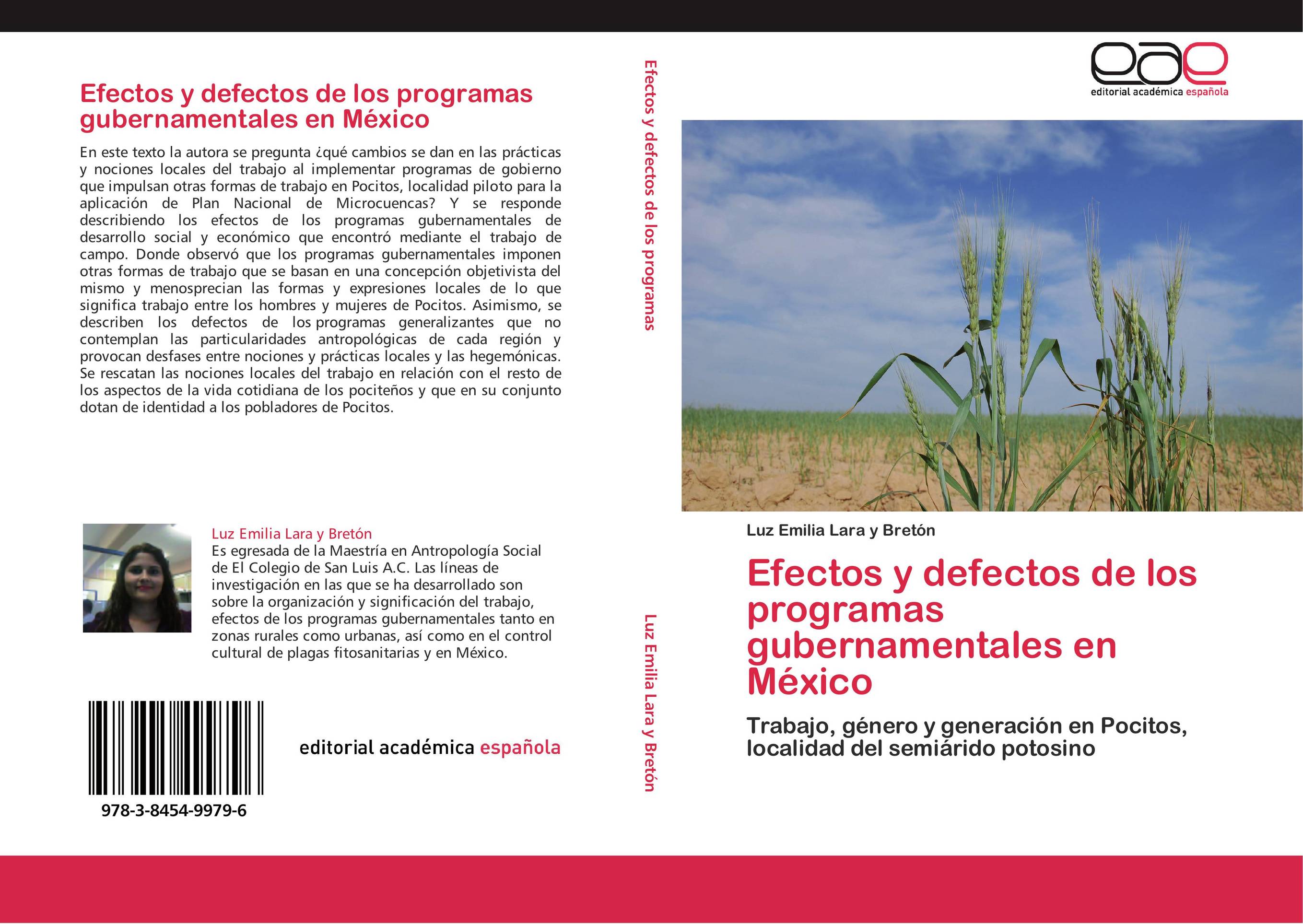 Efectos y defectos de los programas gubernamentales en México
