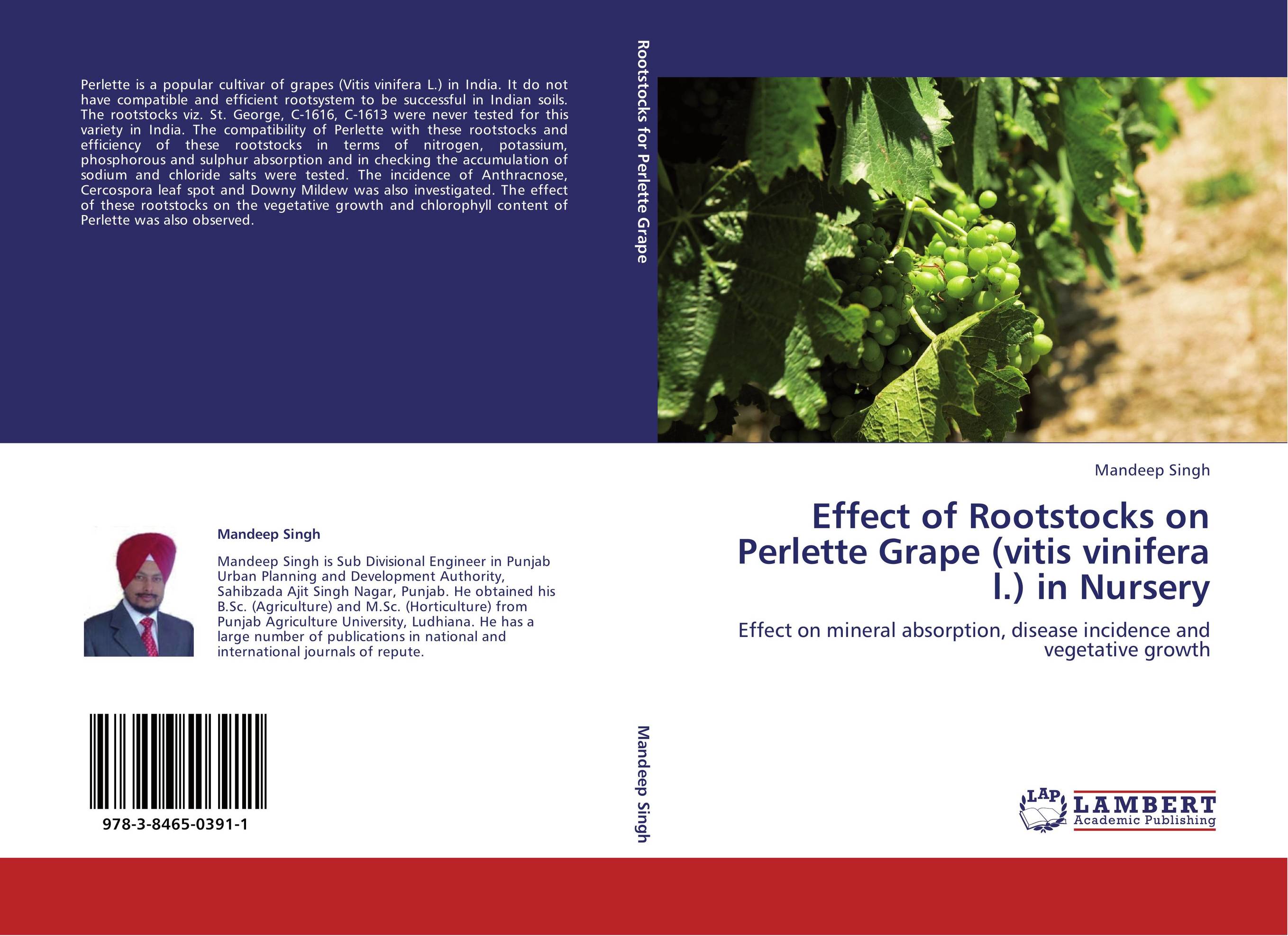Effect of Rootstocks on Perlette Grape (vitis vinifera l.) in Nursery. Effect on mineral absorption, disease incidence and vegetative growth.