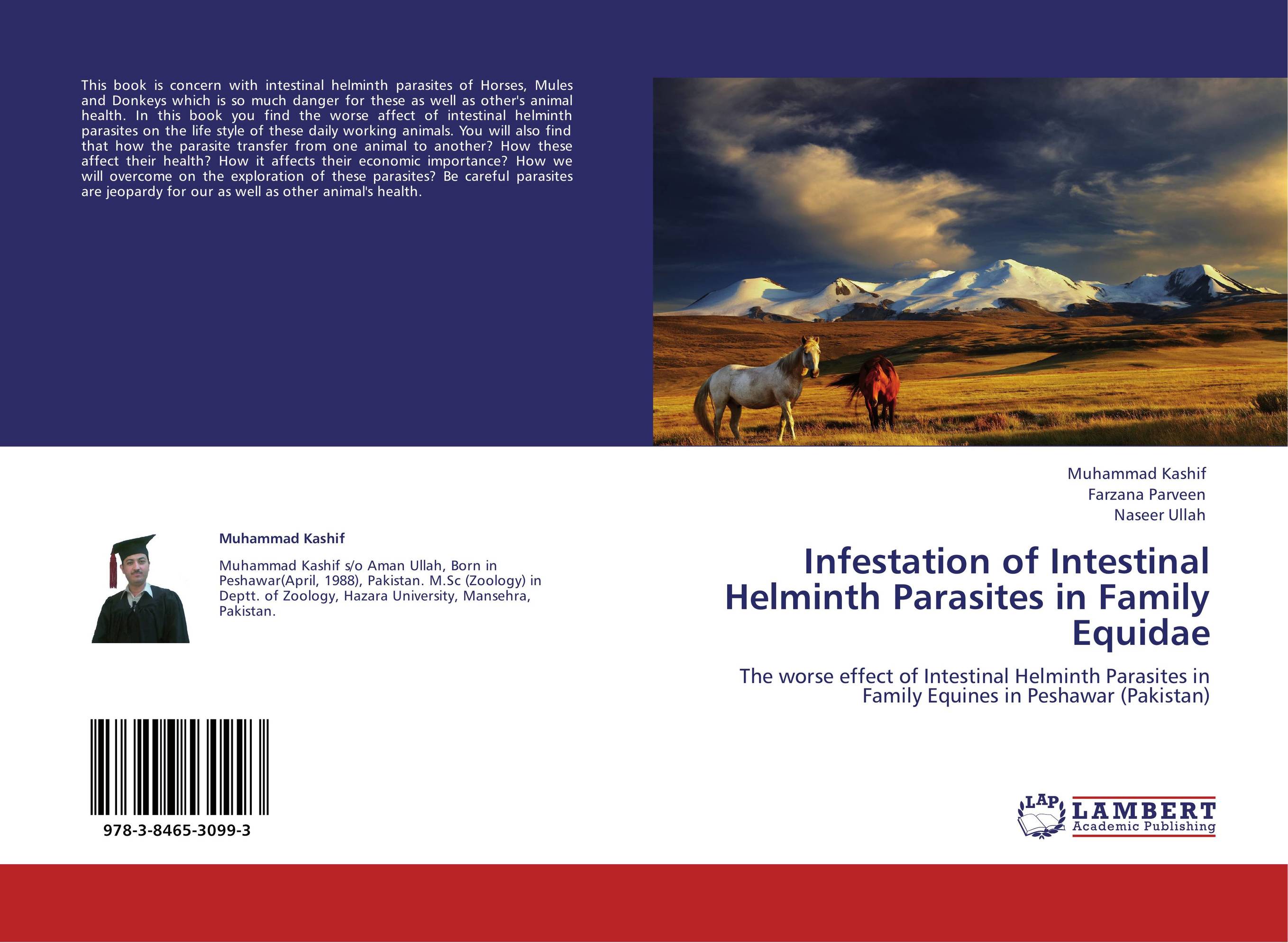 Infestation of Intestinal Helminth Parasites in Family Equidae. The worse effect of Intestinal Helminth Parasites in Family Equines in Peshawar (Pakistan).