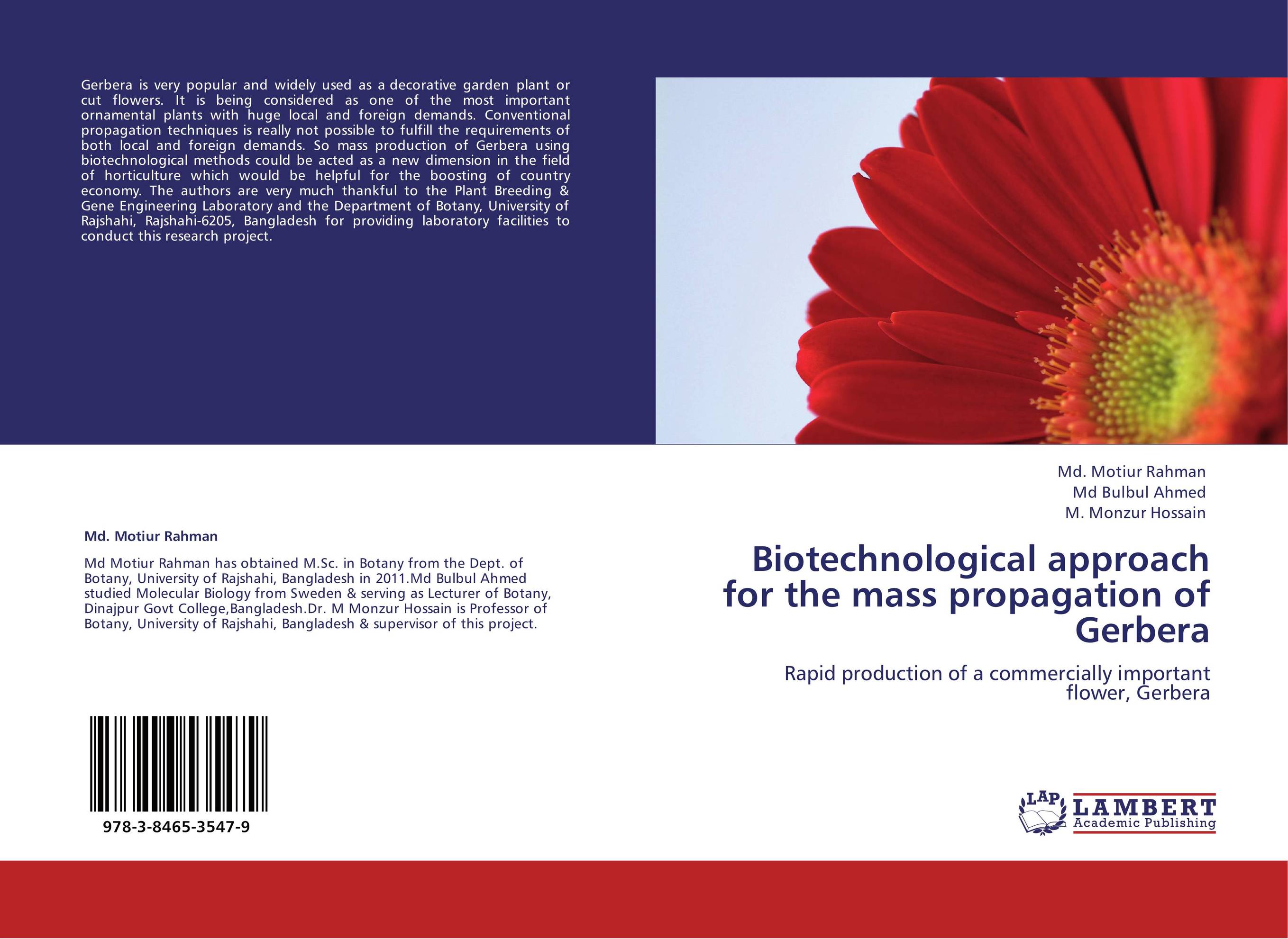 Biotechnological approach for the mass propagation of Gerbera. Rapid production of a commercially important flower, Gerbera.