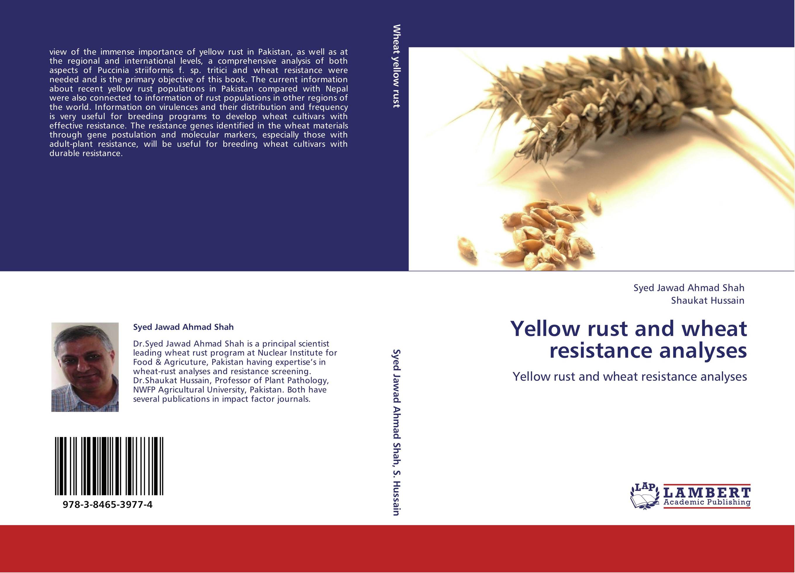 Yellow rust and wheat resistance analyses. Yellow rust and wheat resistance analyses.