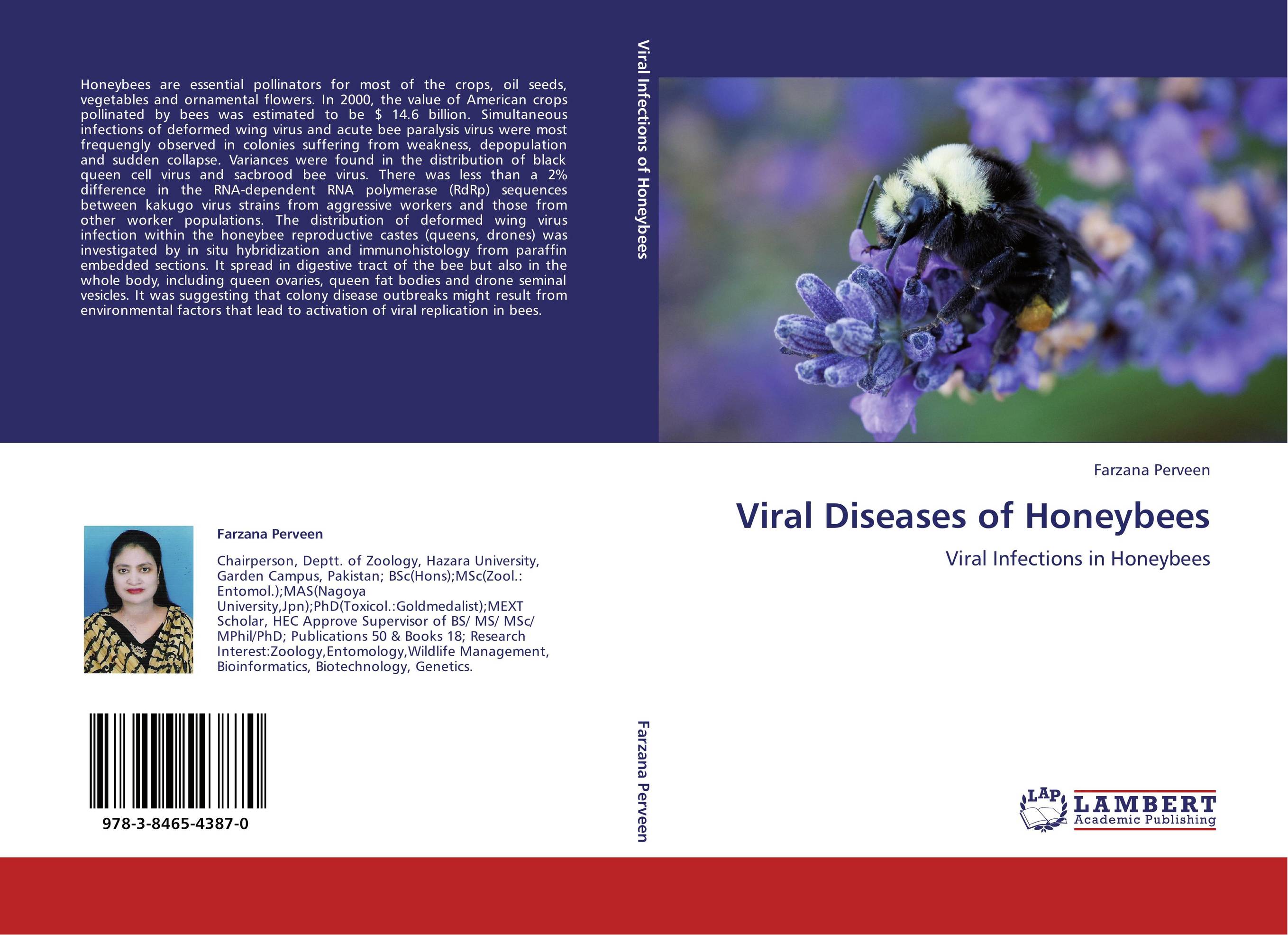 Viral Diseases of Honeybees. Viral Infections in Honeybees.