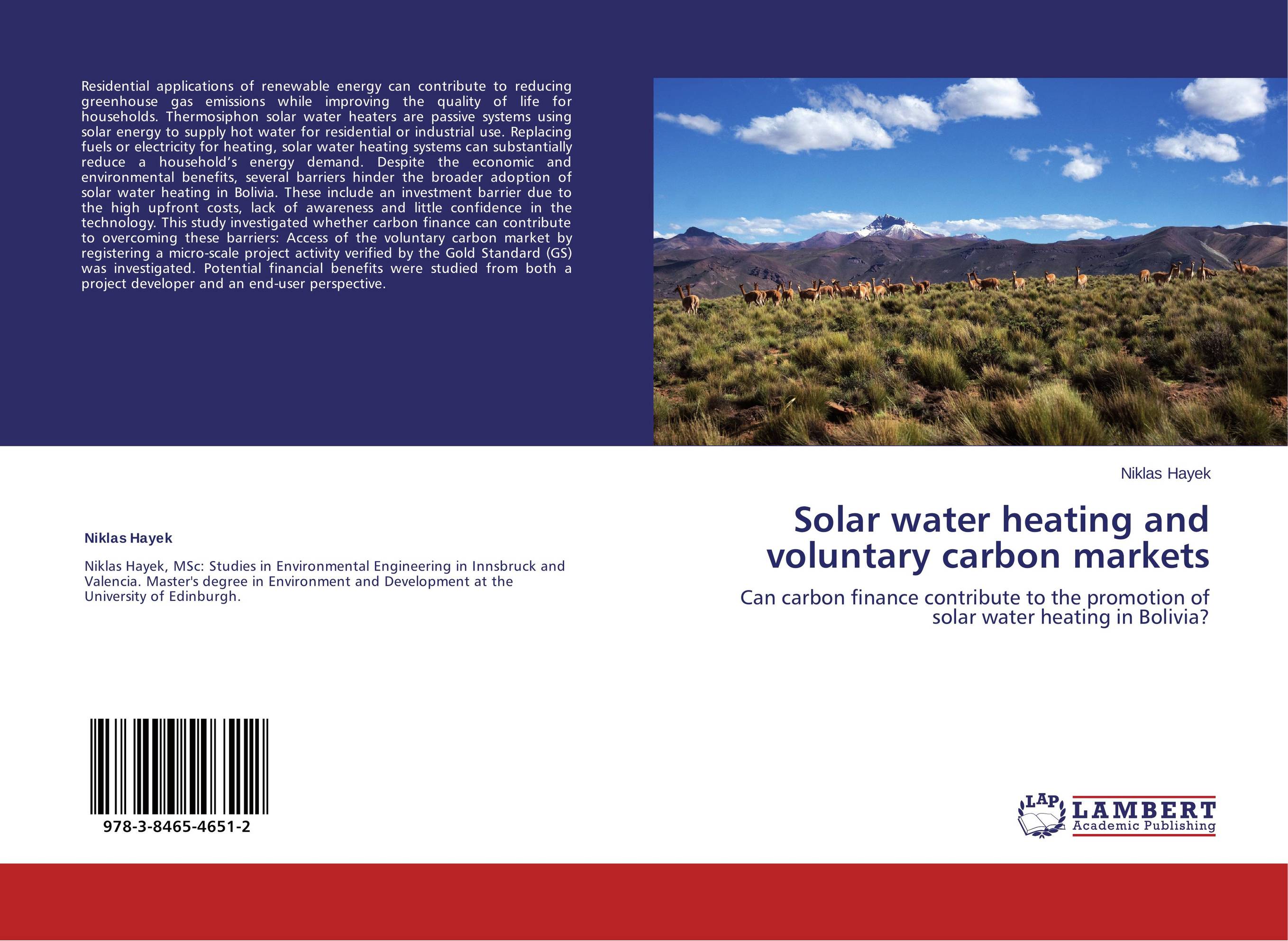 Solar water heating and voluntary carbon markets. Can carbon finance contribute to the promotion of solar water heating in Bolivia?.