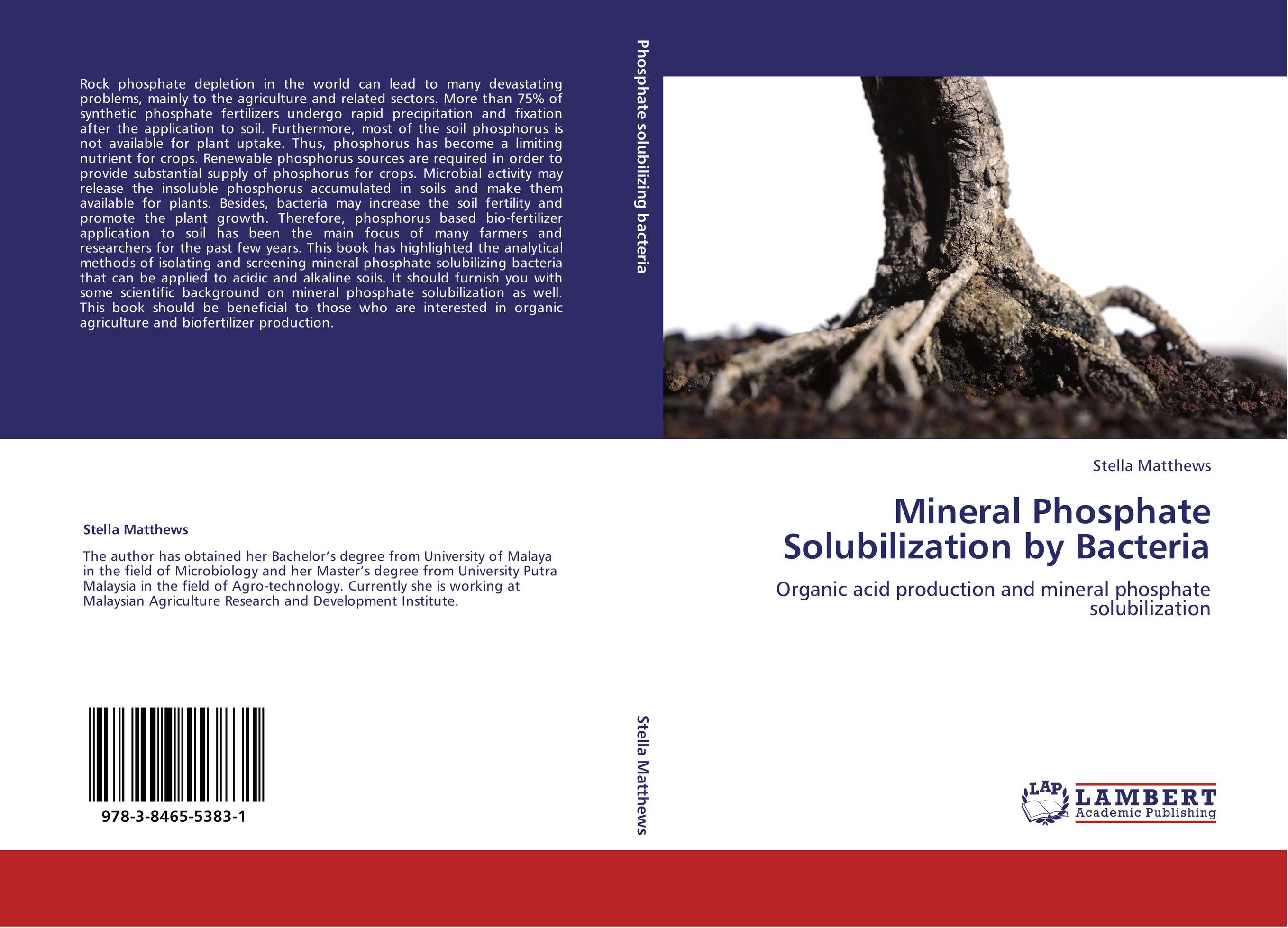 Mineral Phosphate Solubilization by Bacteria. Organic acid production and mineral phosphate solubilization.