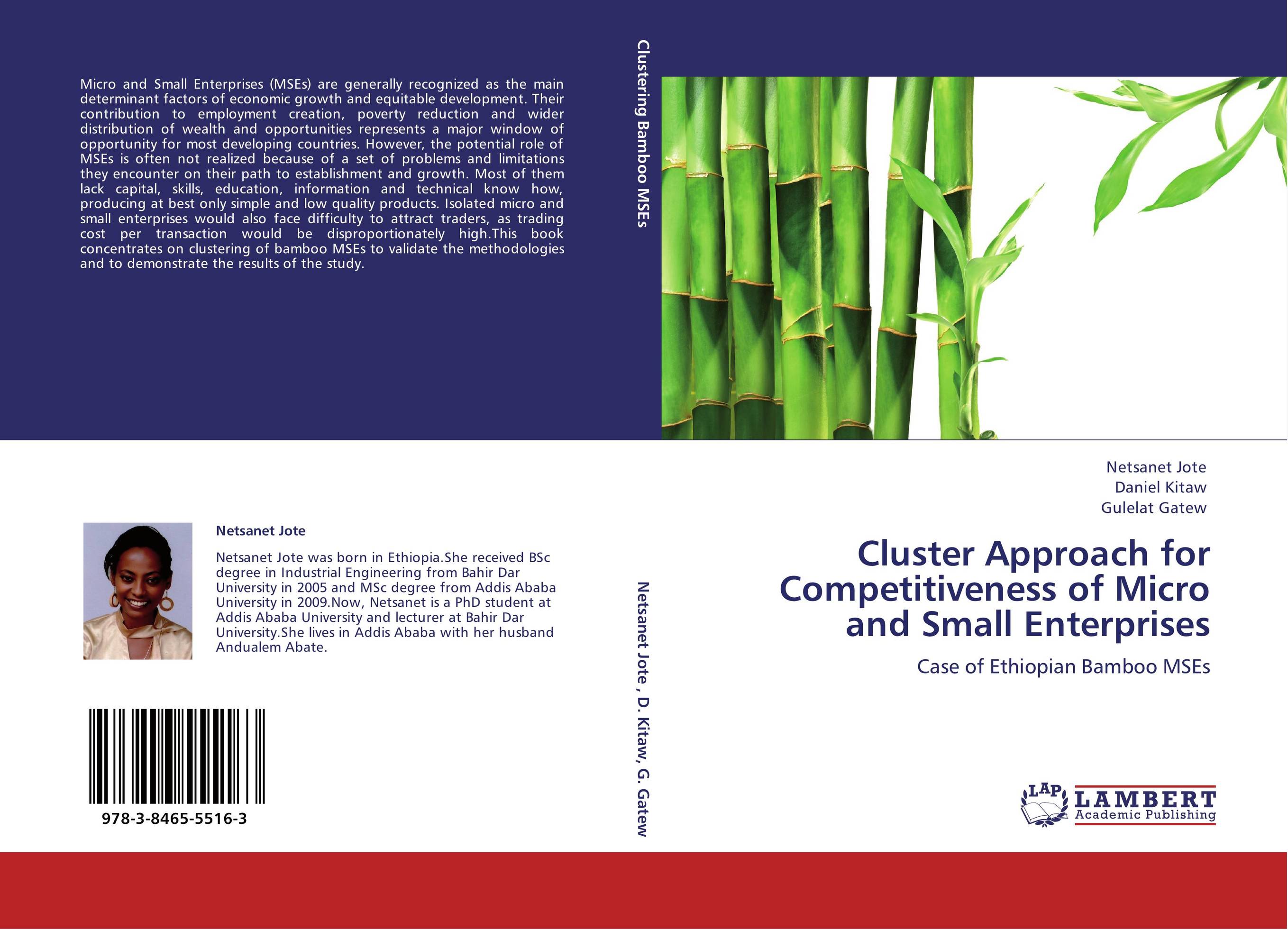 Cluster Approach for Competitiveness of Micro and Small Enterprises. Case of Ethiopian Bamboo MSEs.