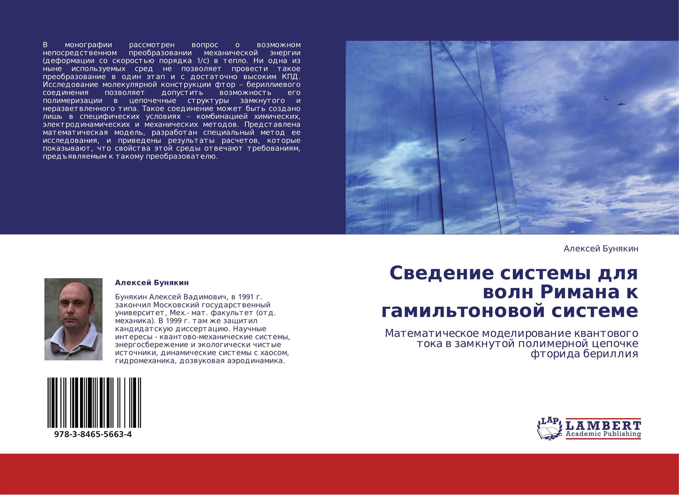 Сведение системы для волн Римана к гамильтоновой системе. Математическое моделирование квантового тока в замкнутой полимерной цепочке фторида бериллия.