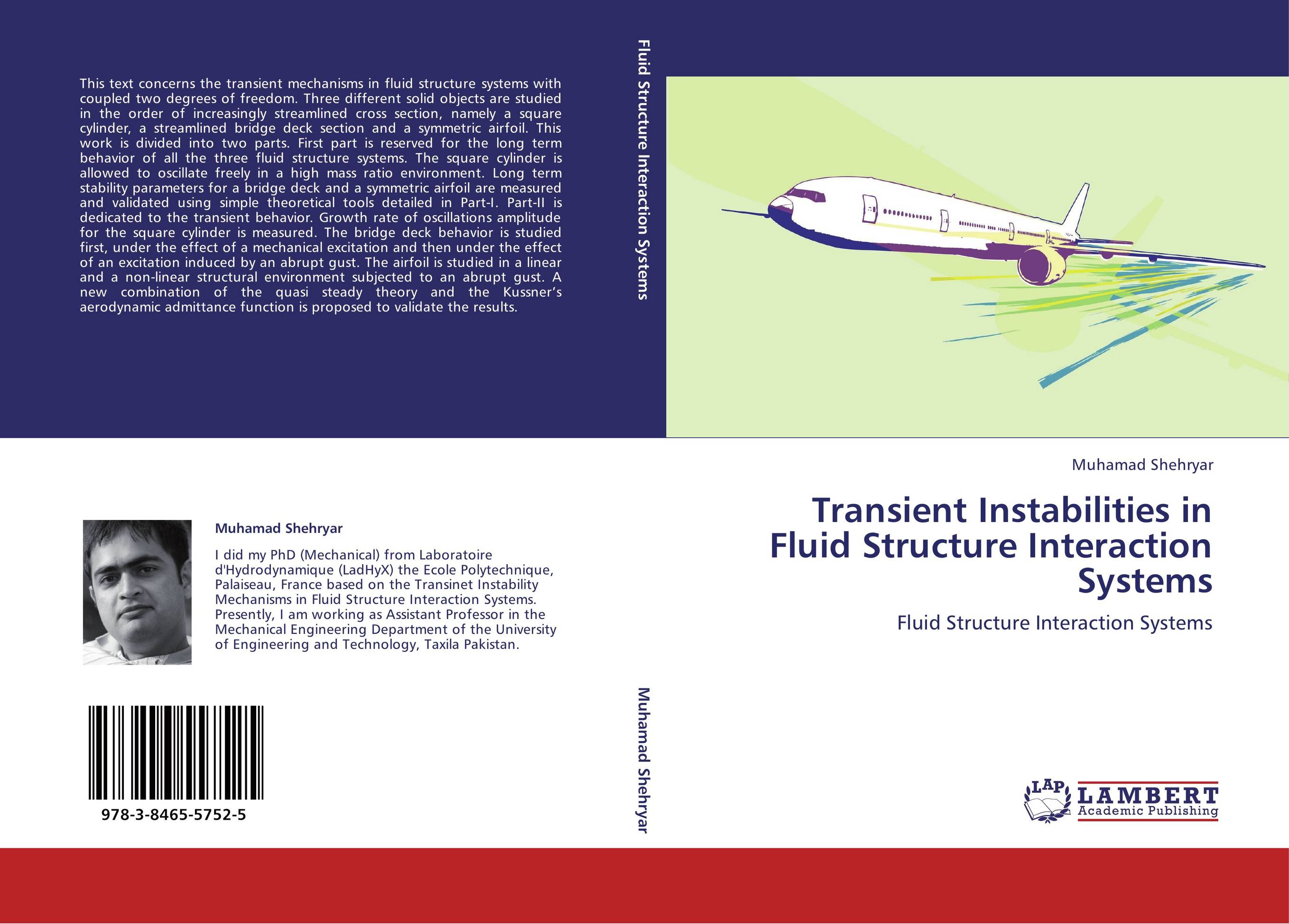 Transient Instabilities in Fluid Structure Interaction Systems. Fluid Structure Interaction Systems.