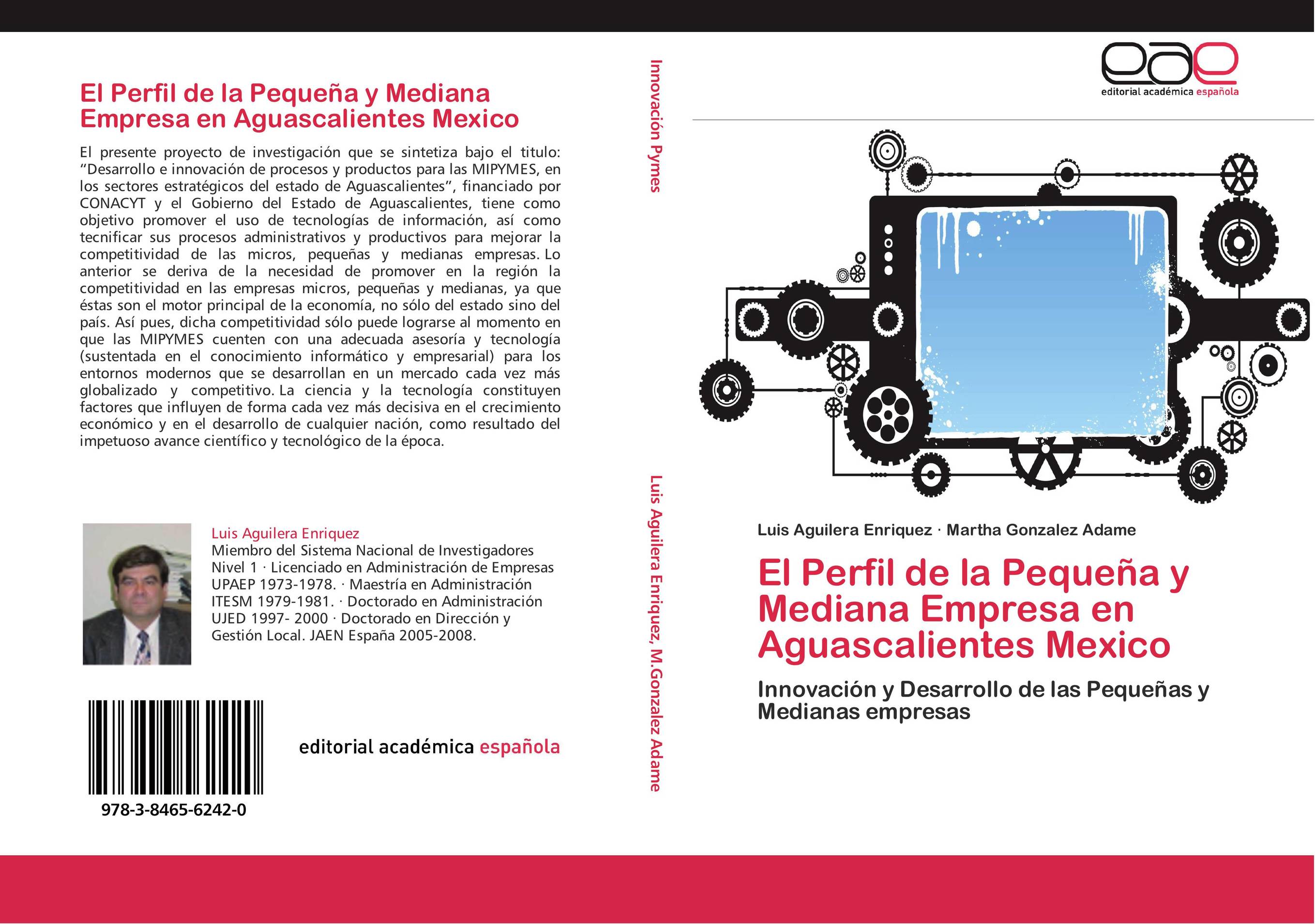 El Perfil de la Pequeña y Mediana Empresa en Aguascalientes Mexico
