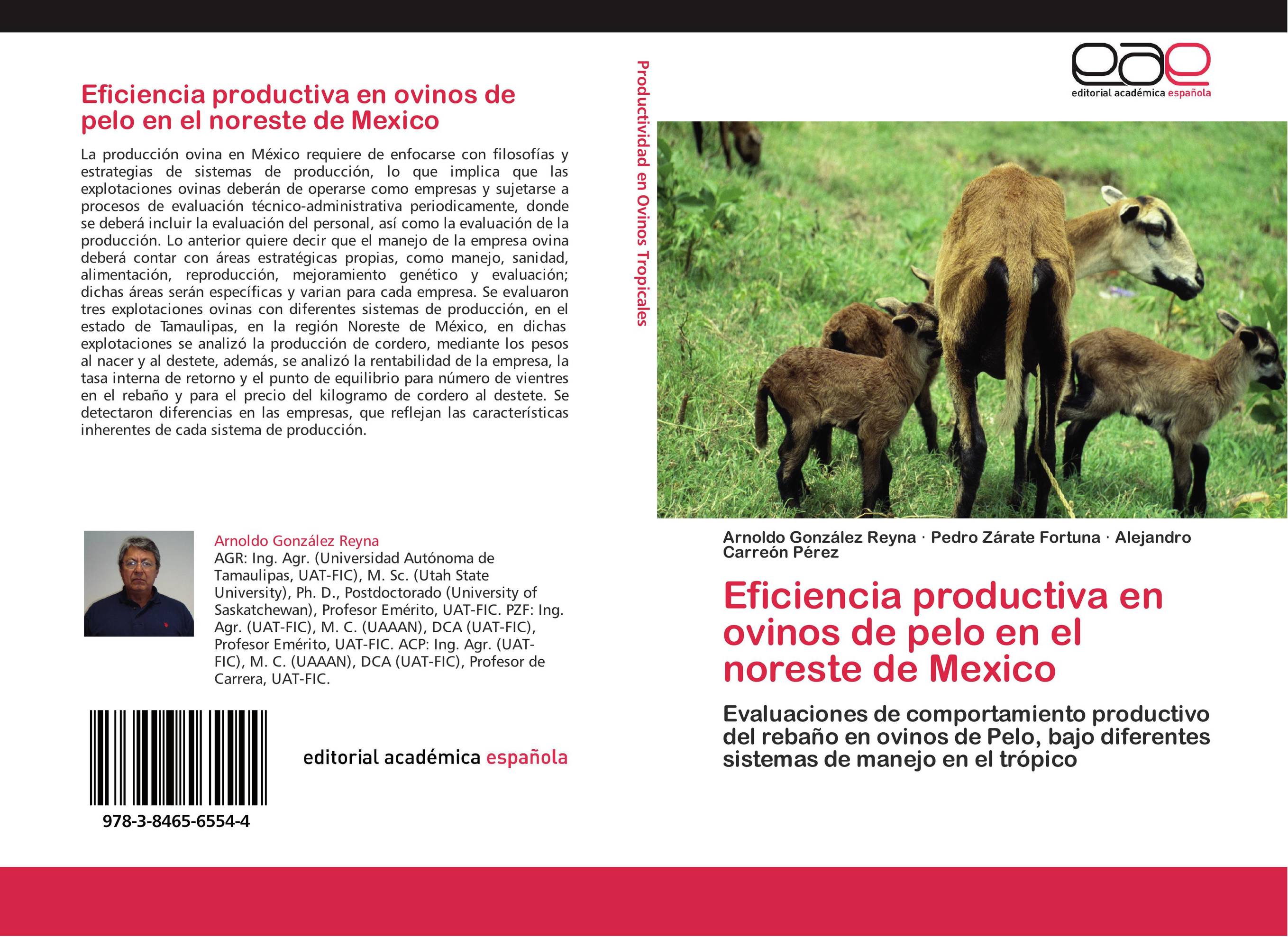 Eficiencia productiva en ovinos de pelo en el noreste de Mexico