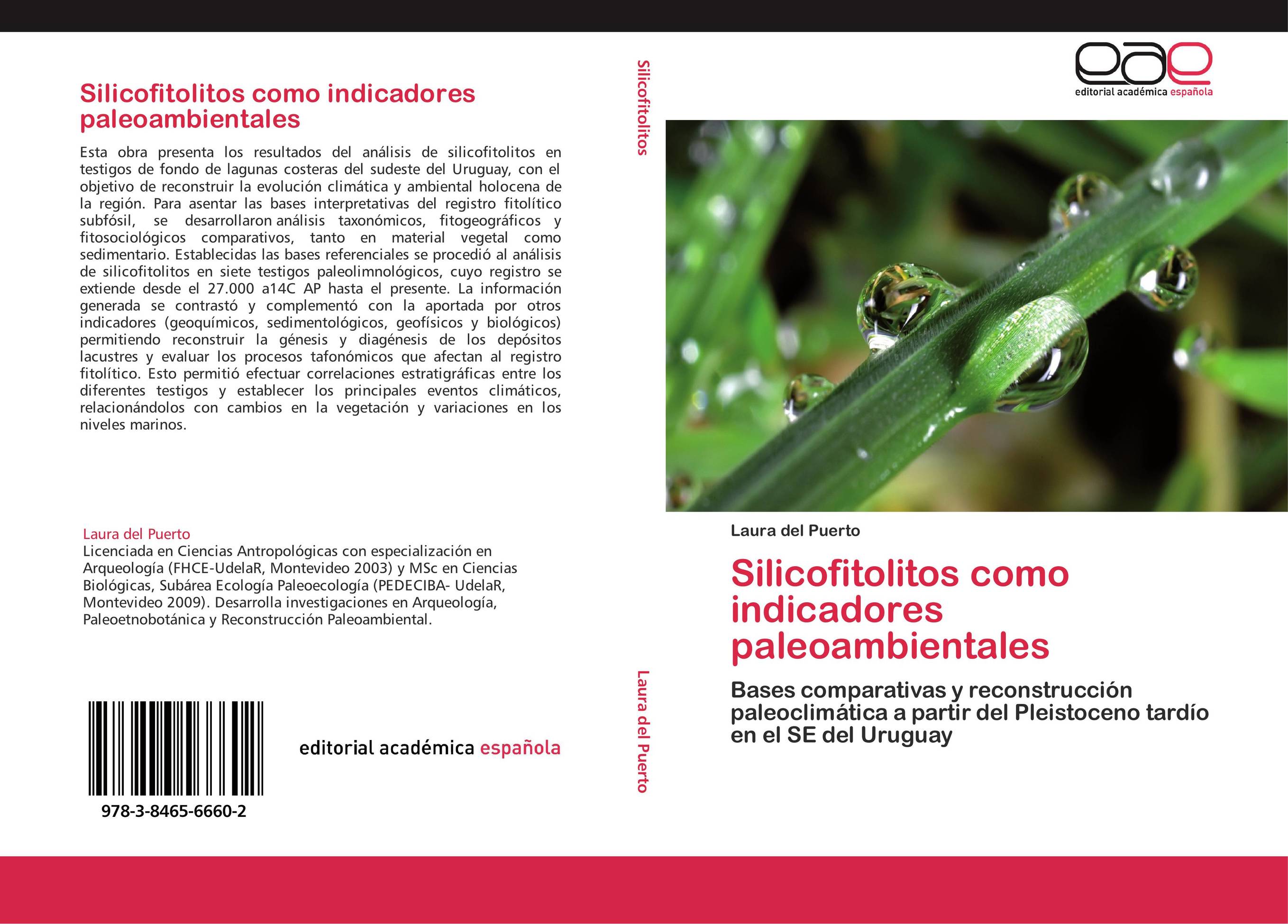 Silicofitolitos como indicadores paleoambientales