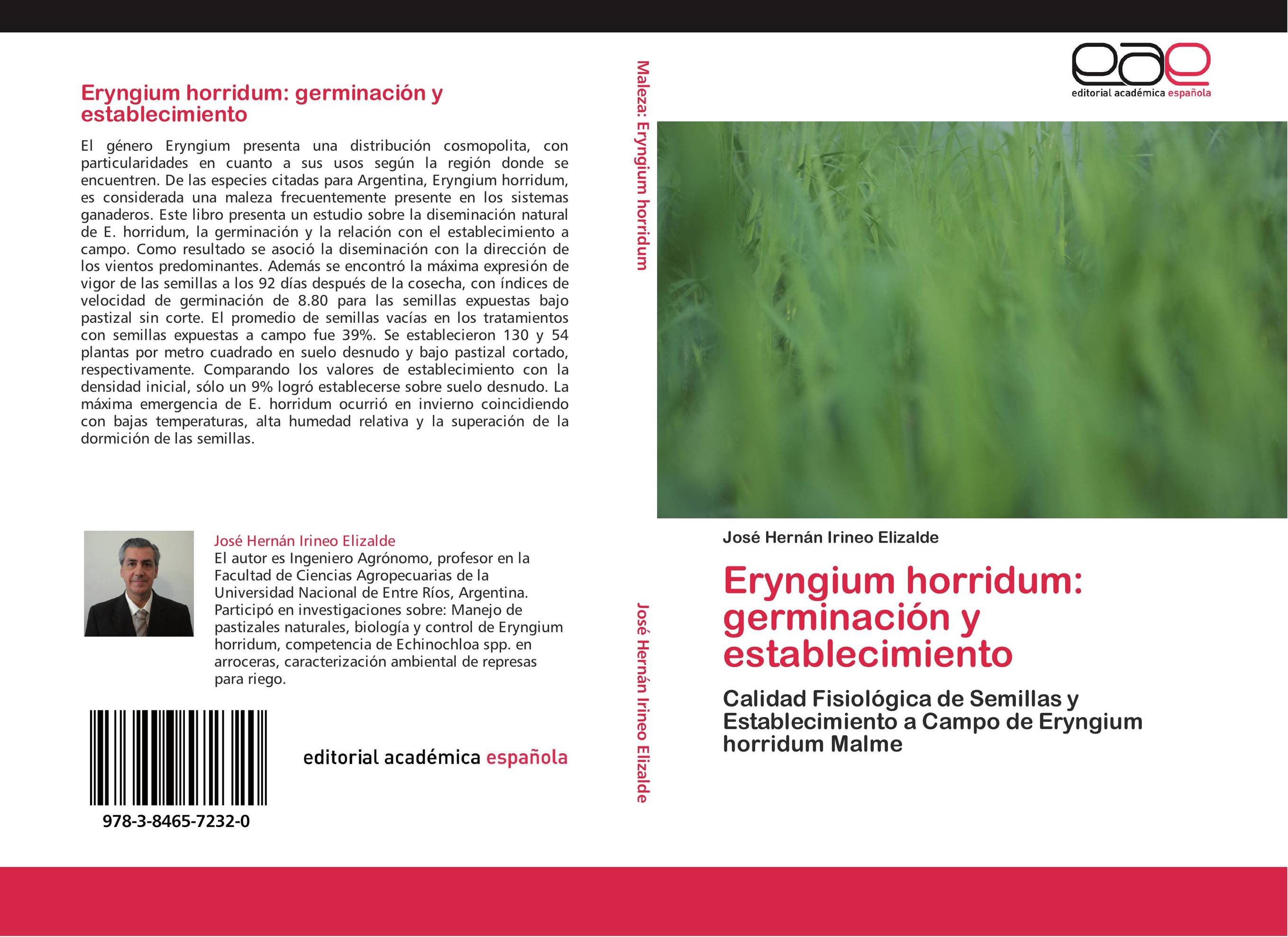 Eryngium horridum: germinación y establecimiento