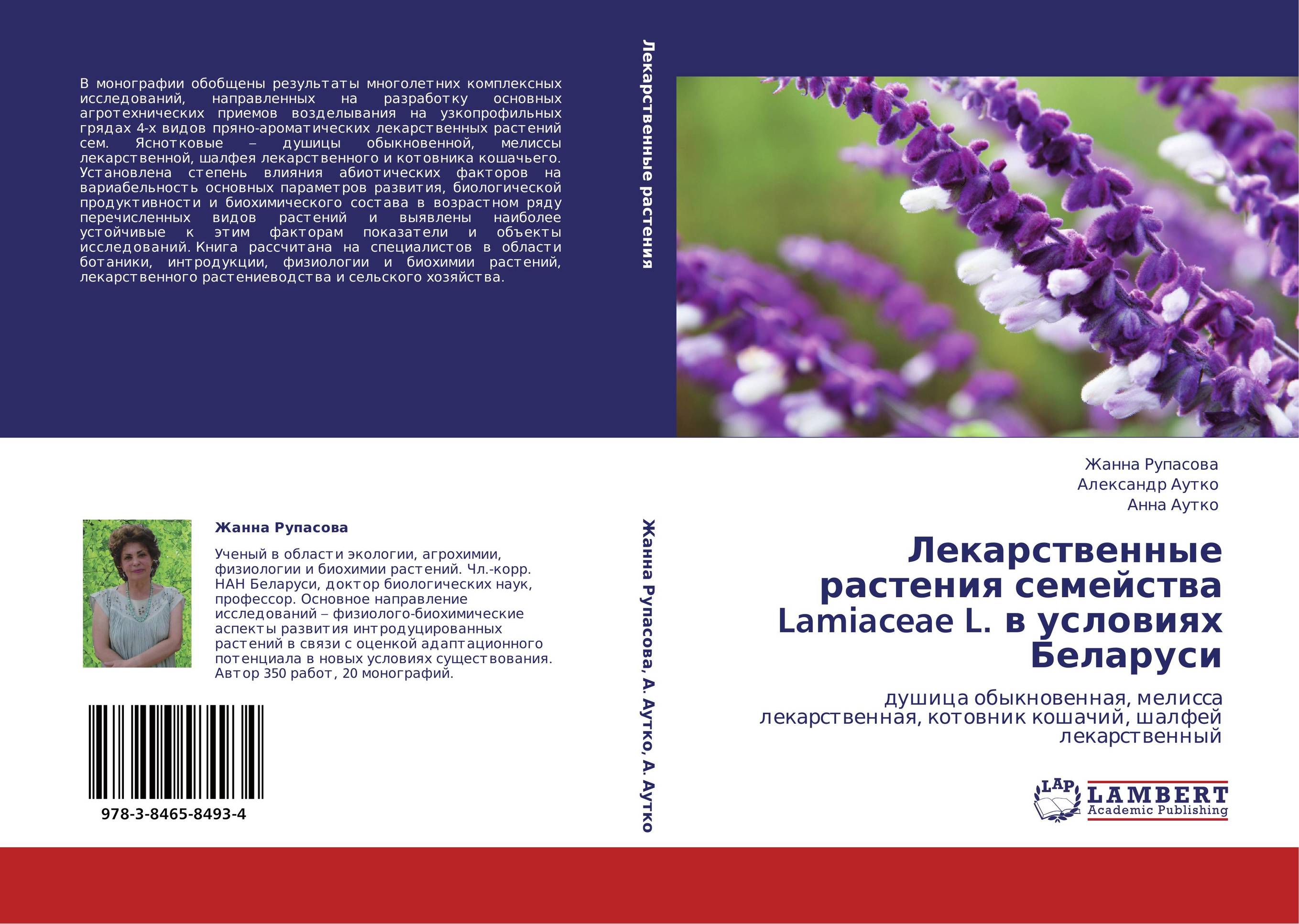 Лекарственные растения семейства Lamiaceae L. в условиях Беларуси. Душица обыкновенная, мелисса лекарственная, котовник кошачий, шалфей лекарственный.