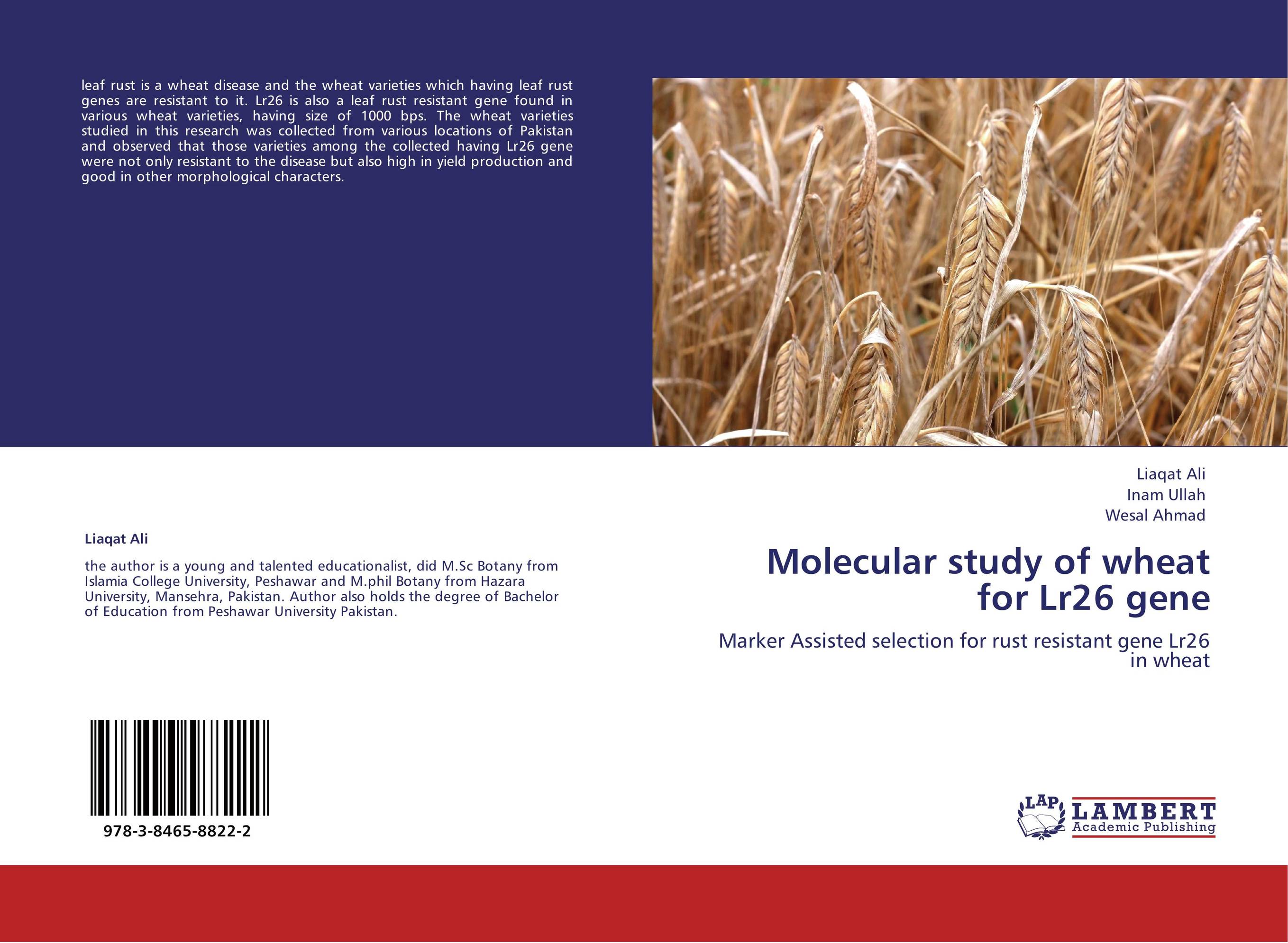 Leaf rust resistance genes фото 1