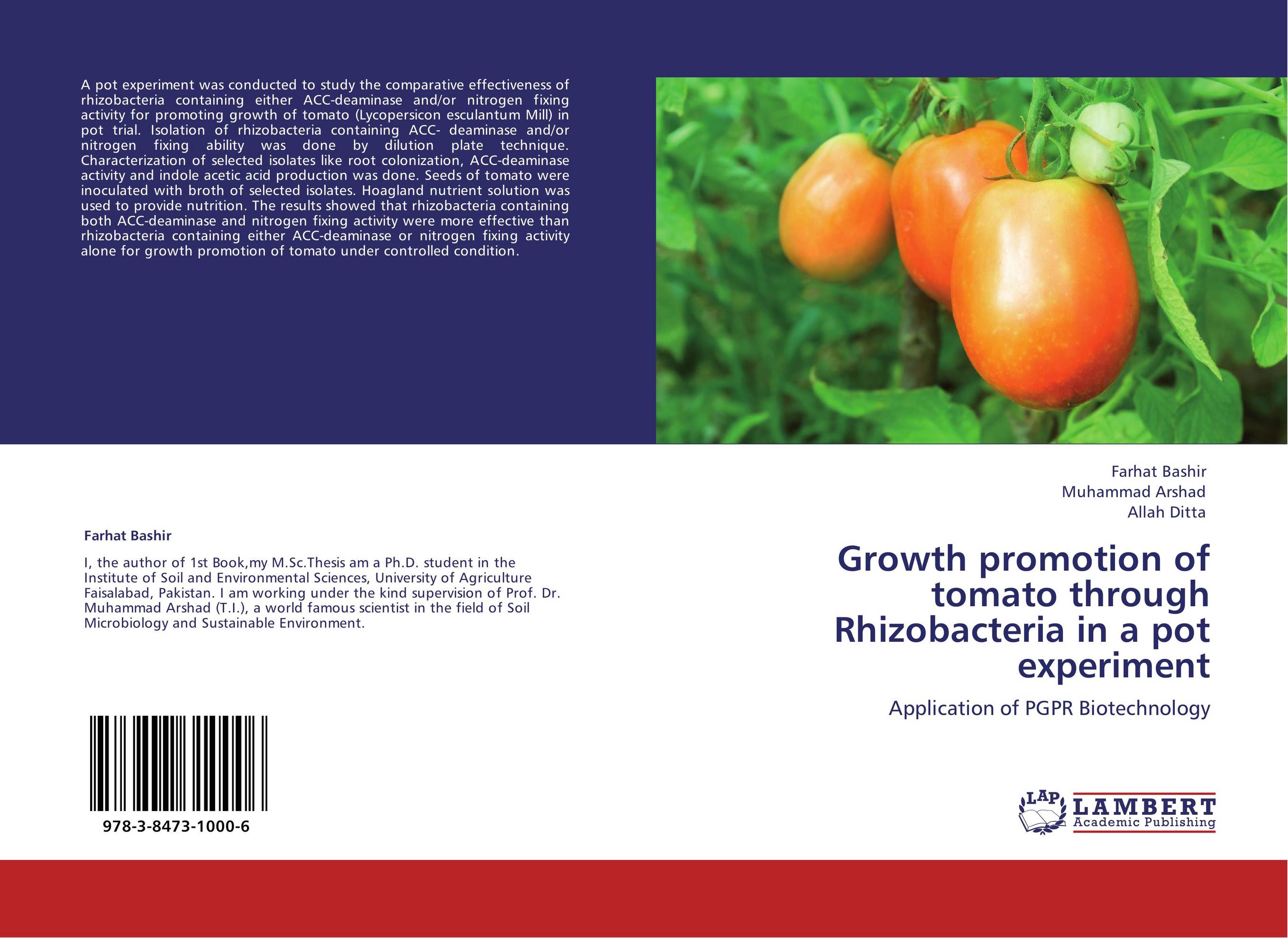 Growth promotion of tomato through Rhizobacteria in a pot experiment. Application of PGPR Biotechnology.