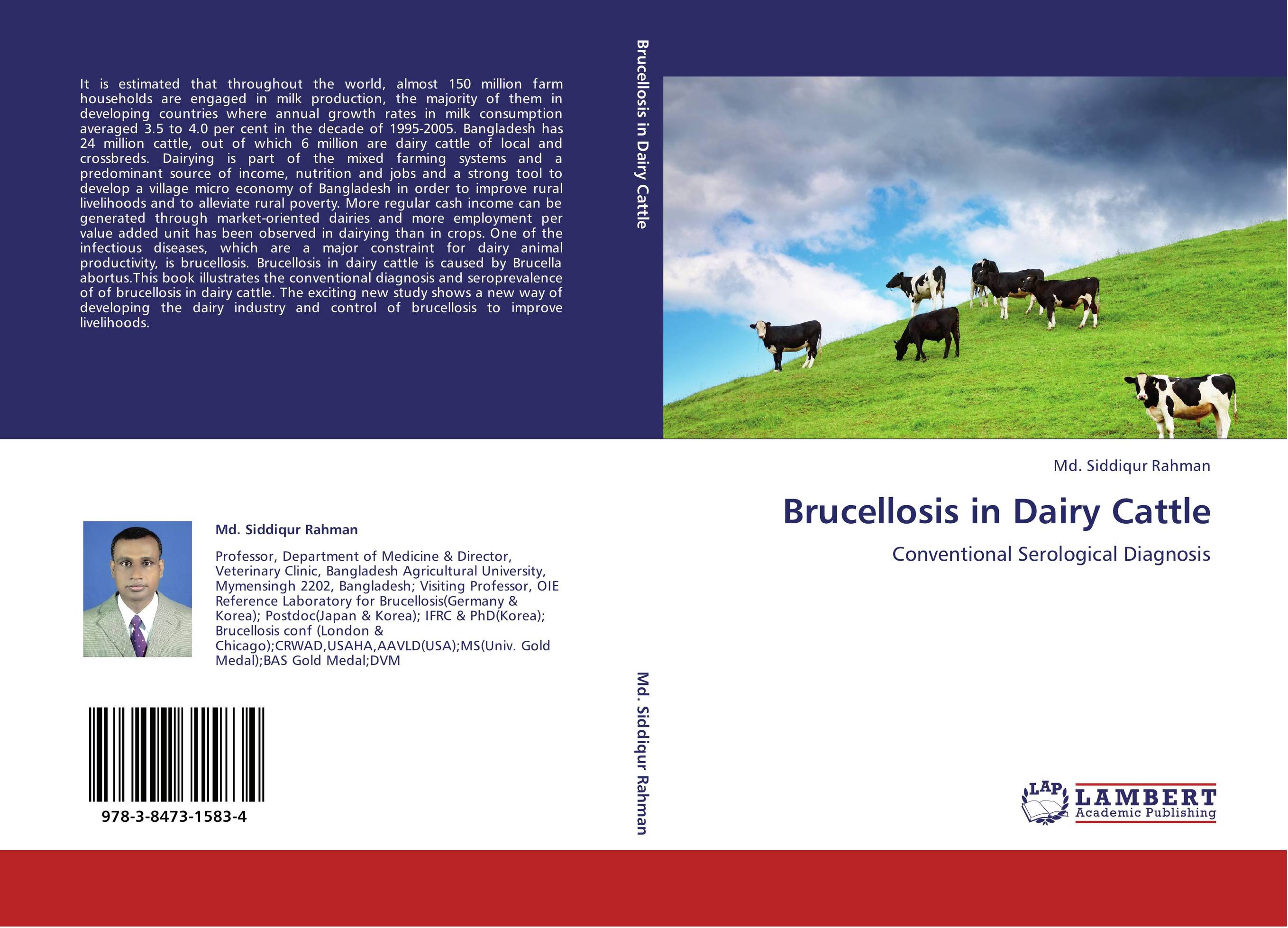 Brucellosis in Dairy Cattle. Conventional Serological Diagnosis.