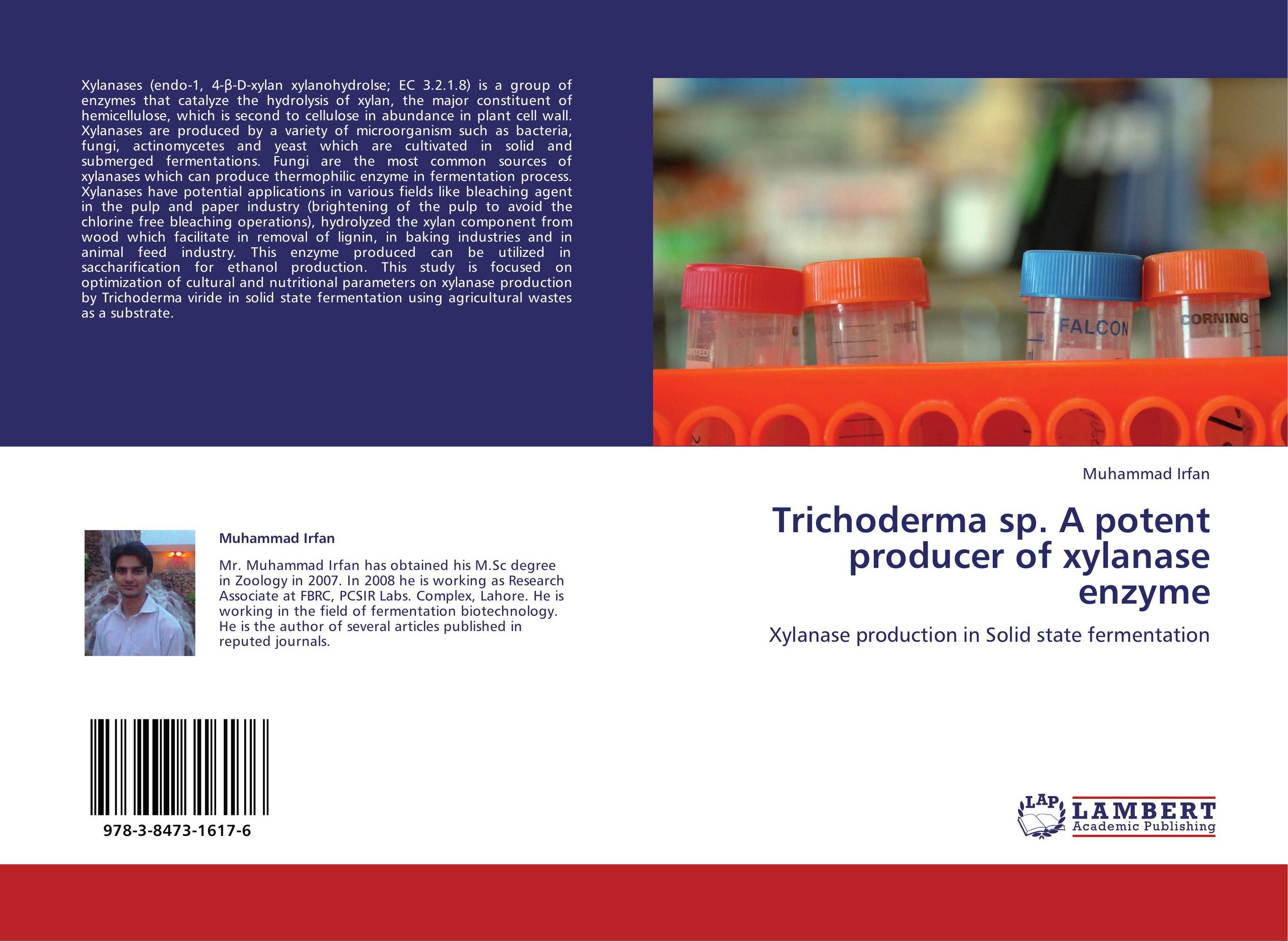Trichoderma sp. A potent producer of xylanase enzyme. Xylanase production in Solid state fermentation.