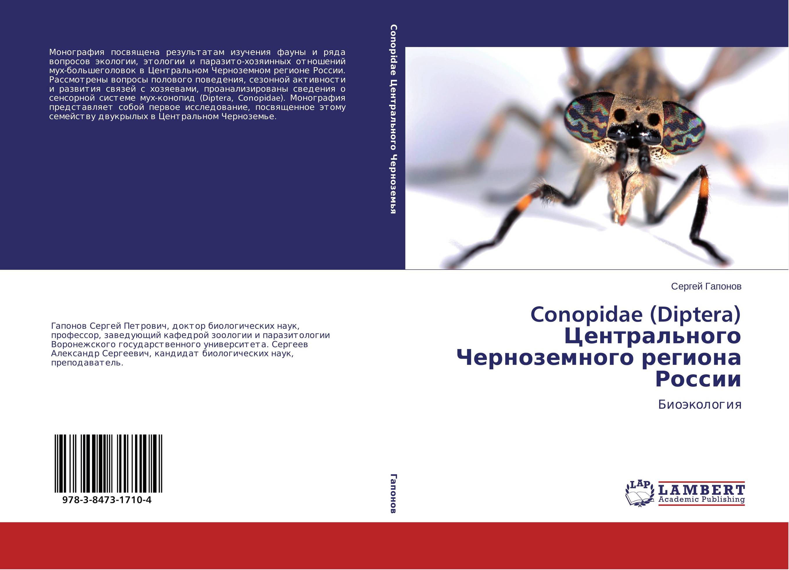 Conopidae (Diptera) Центрального Черноземного региона России. Биоэкология.